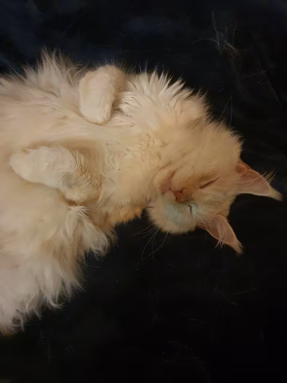 Fluffy
