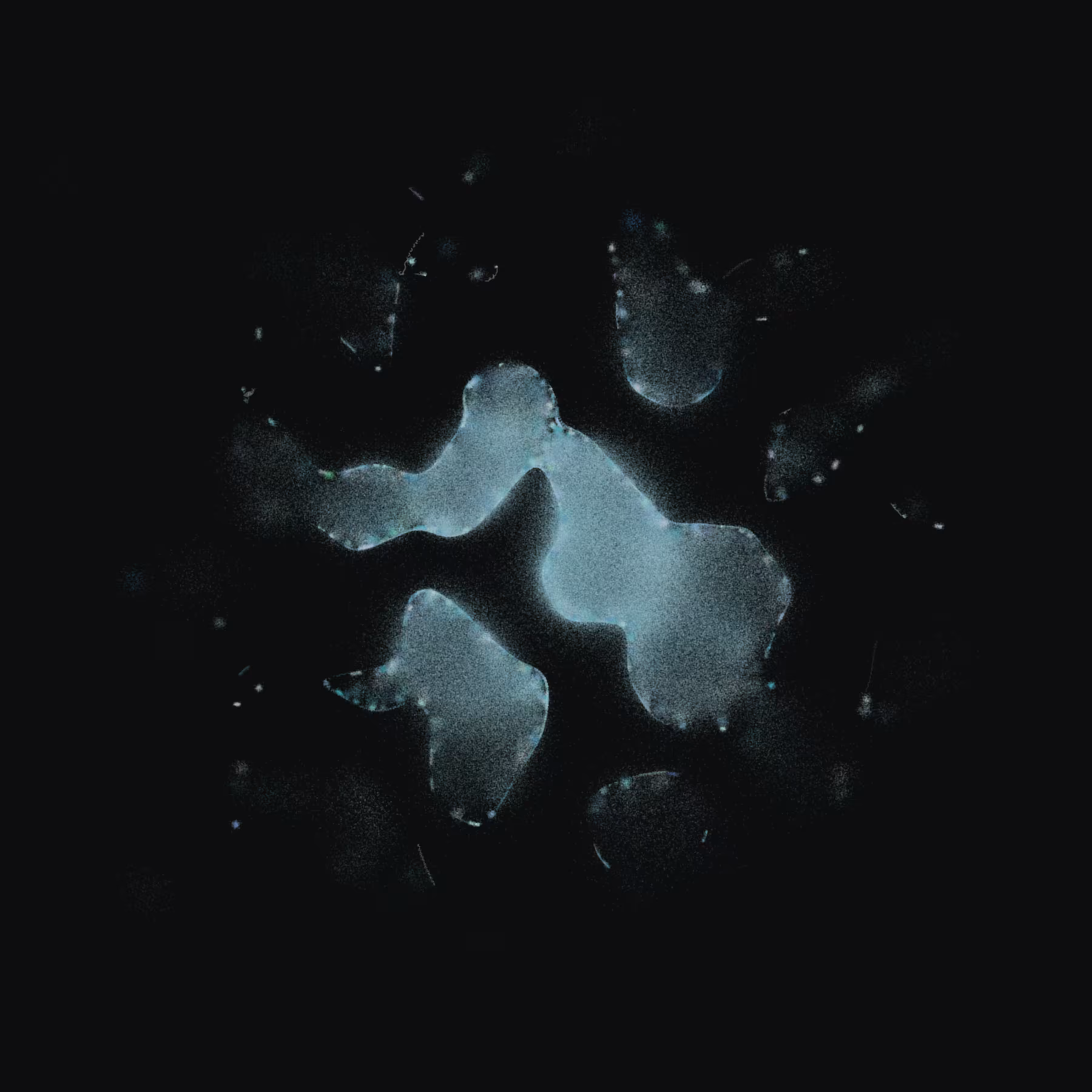 Membrane #44