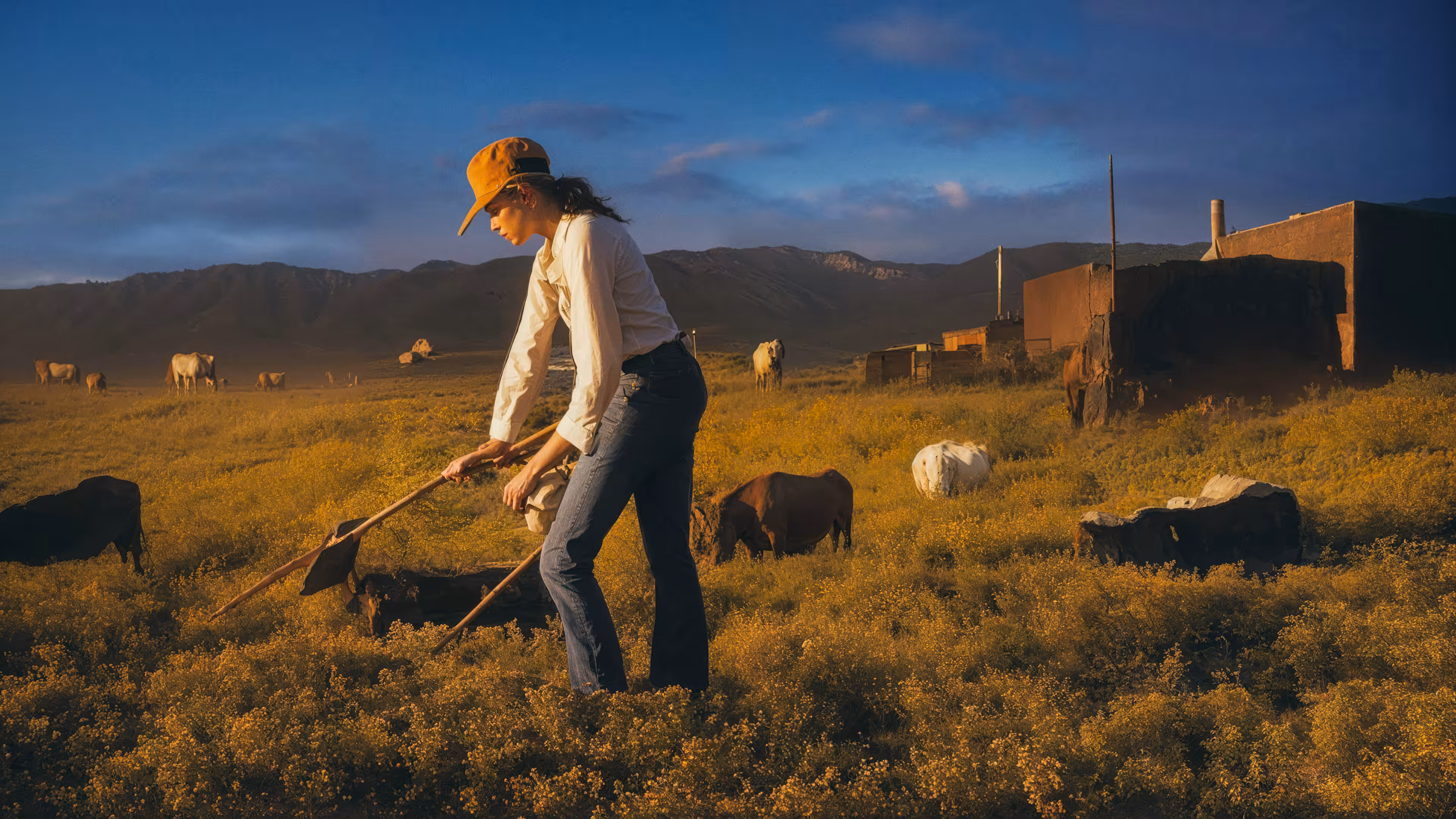 Farm Facsimile