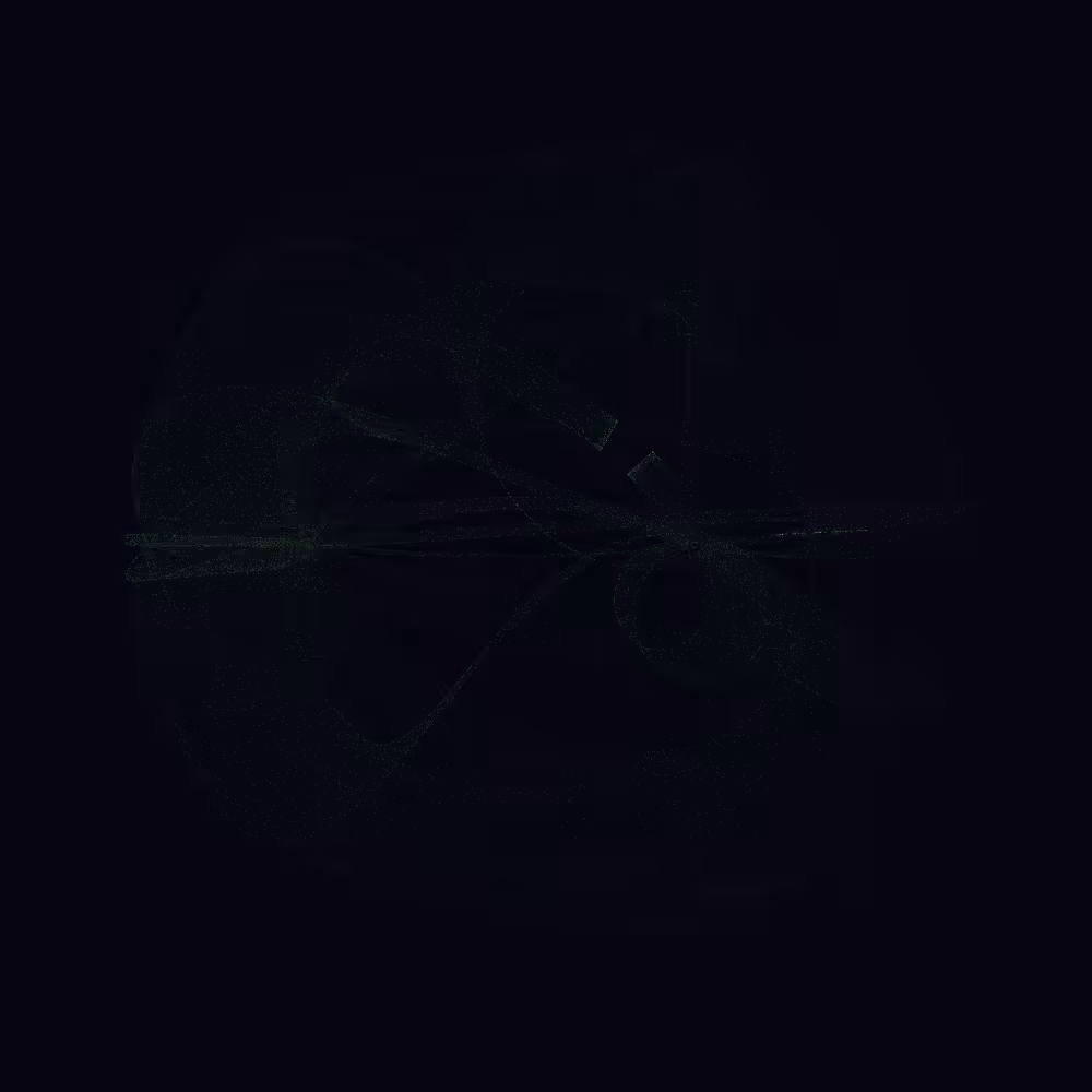 0b11111100110 #199