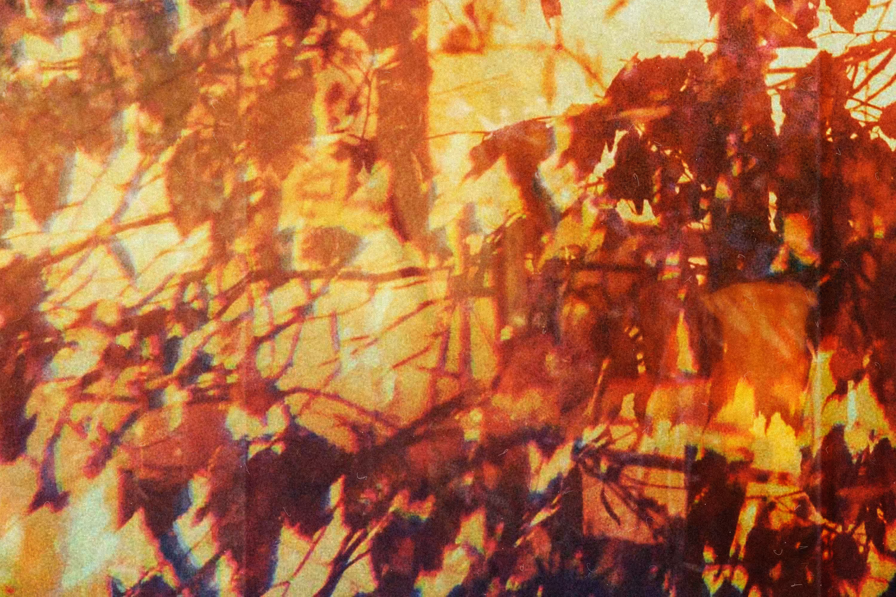 in between #24