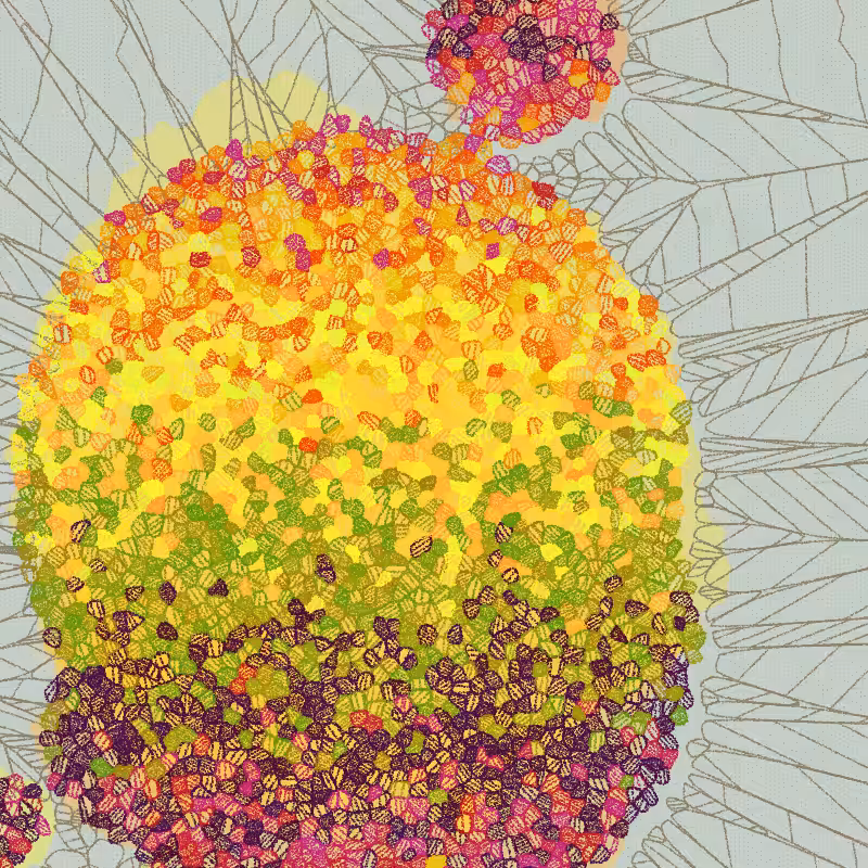 Fractured Cells #173