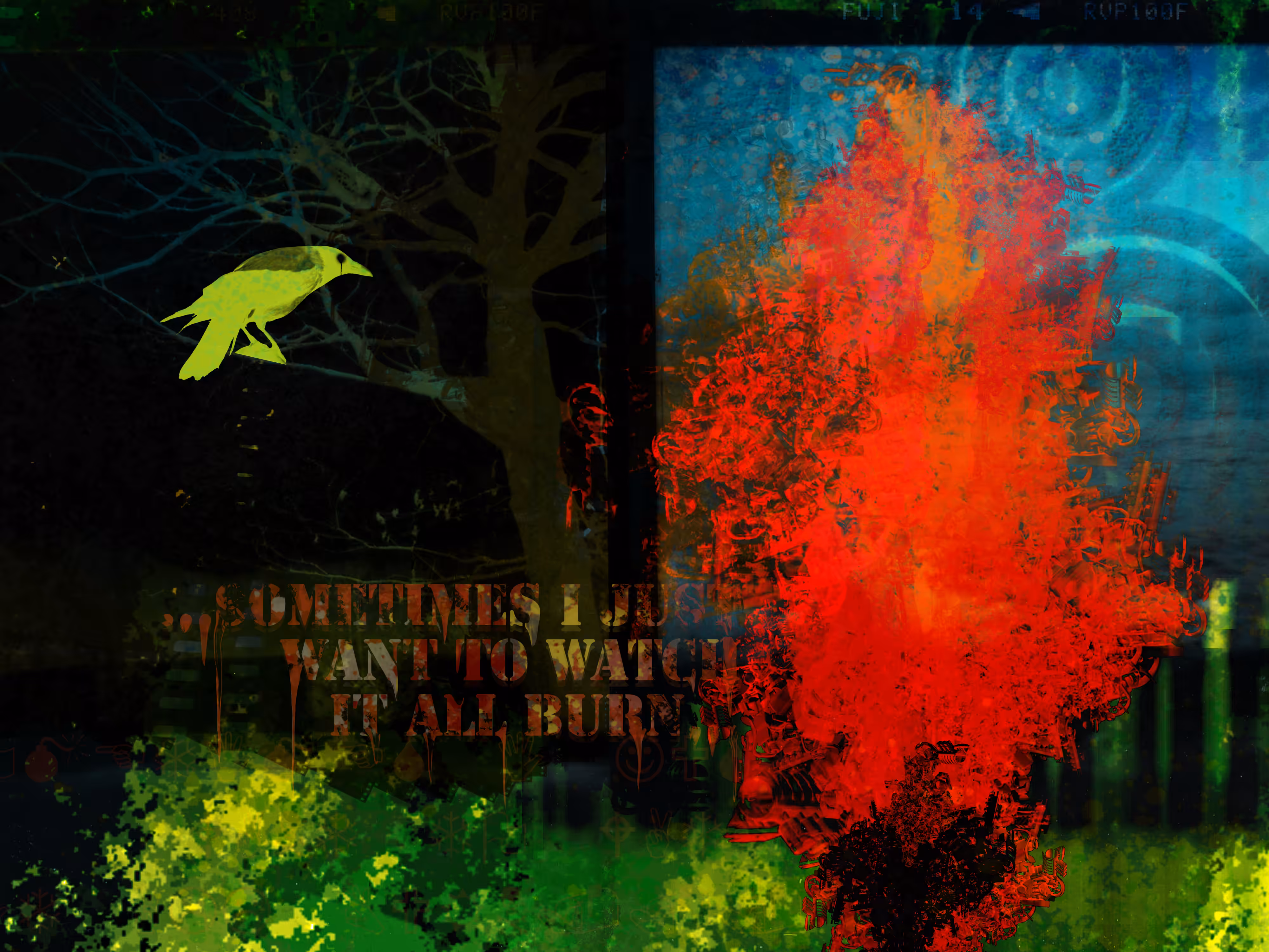 The flaming tree.