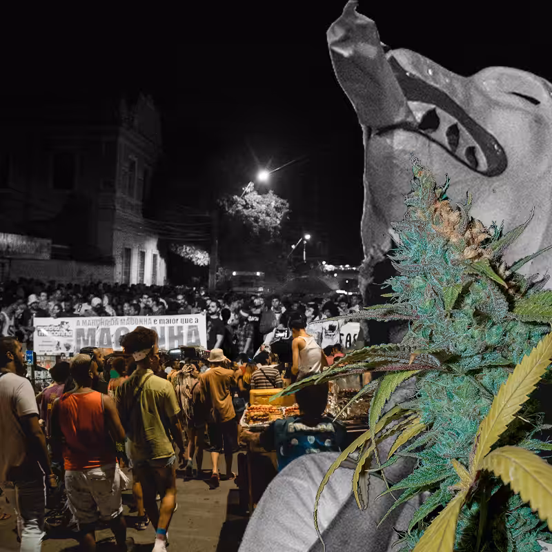 marijuana march #49