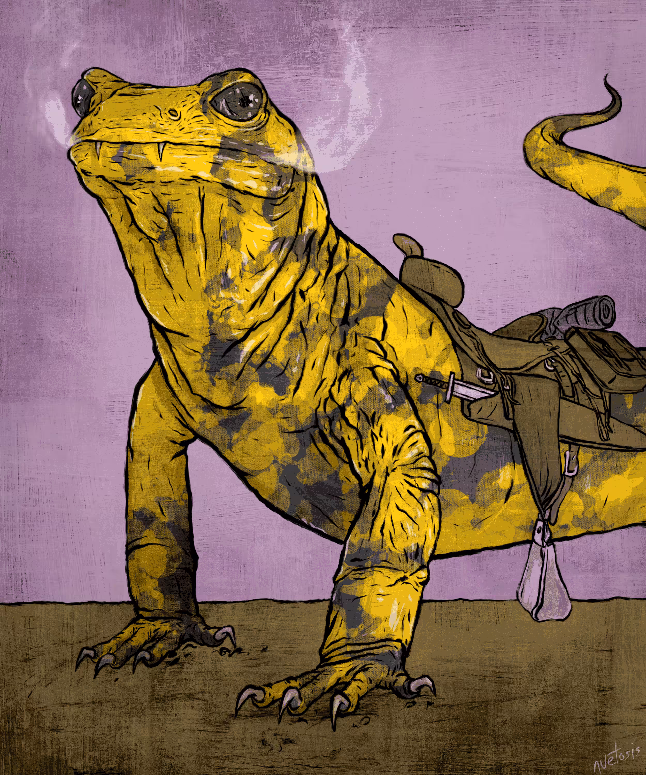 Fire Salamander 6