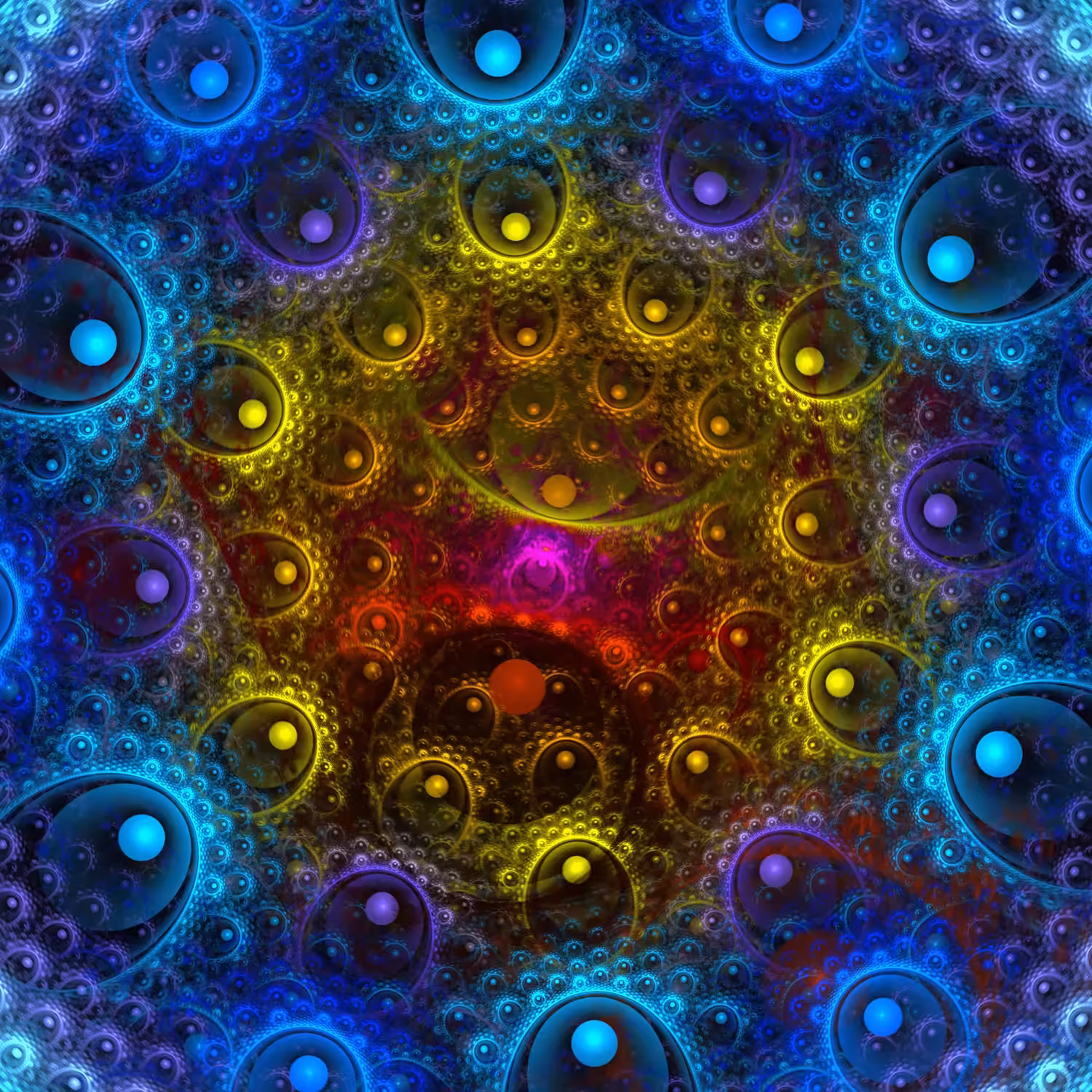 GEN711 - GENOME 014
