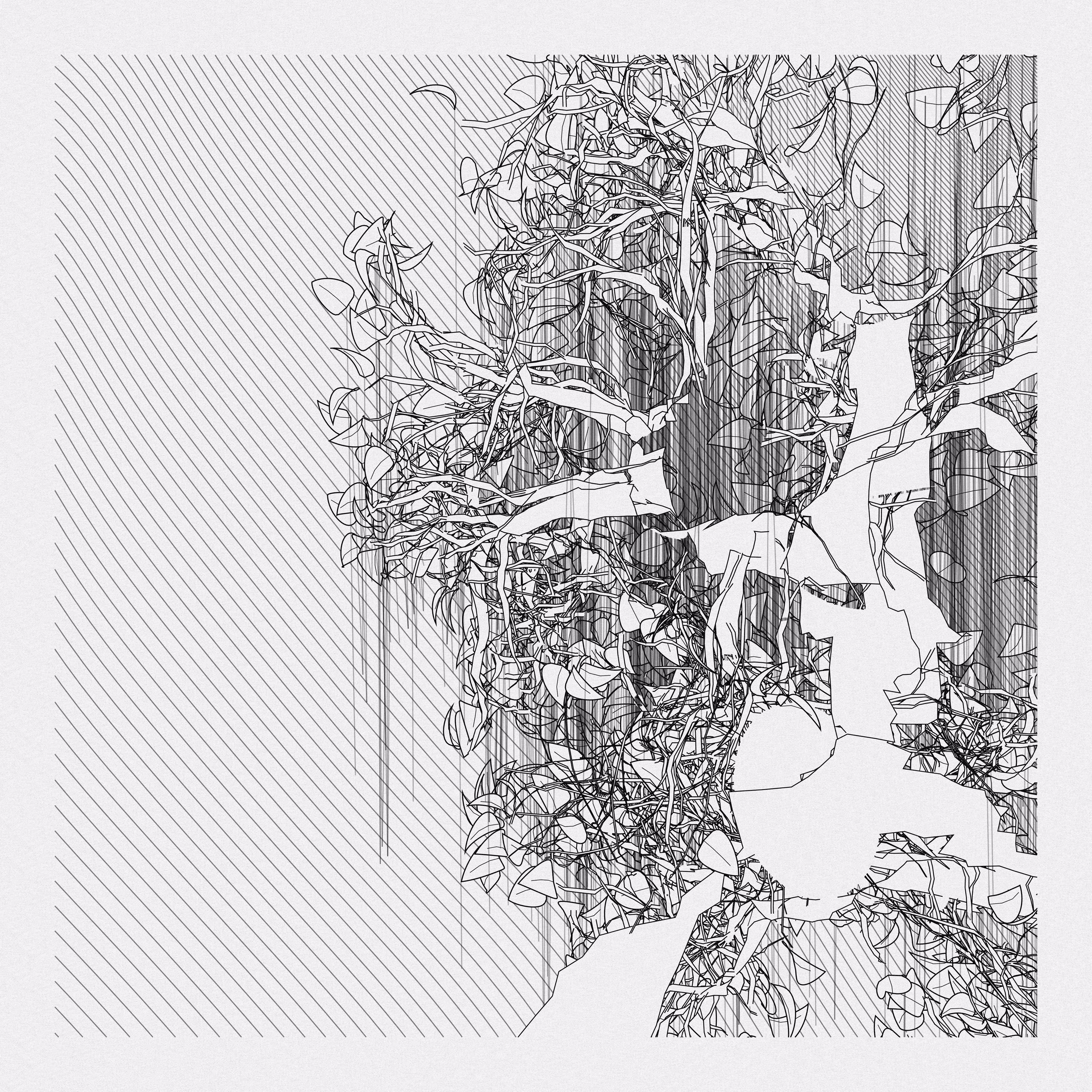 A Bugged Forest #476