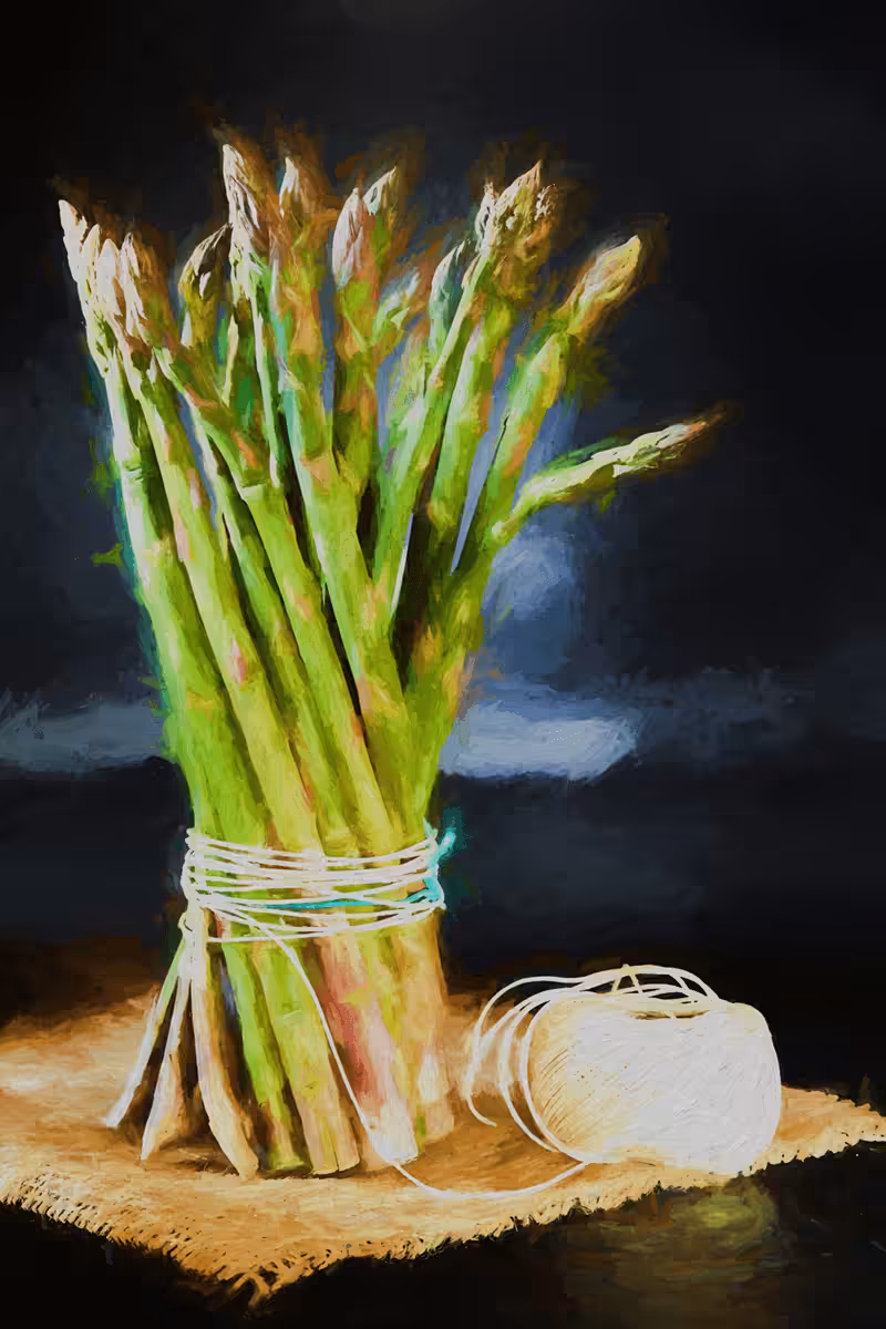 Still Life With Asparagus