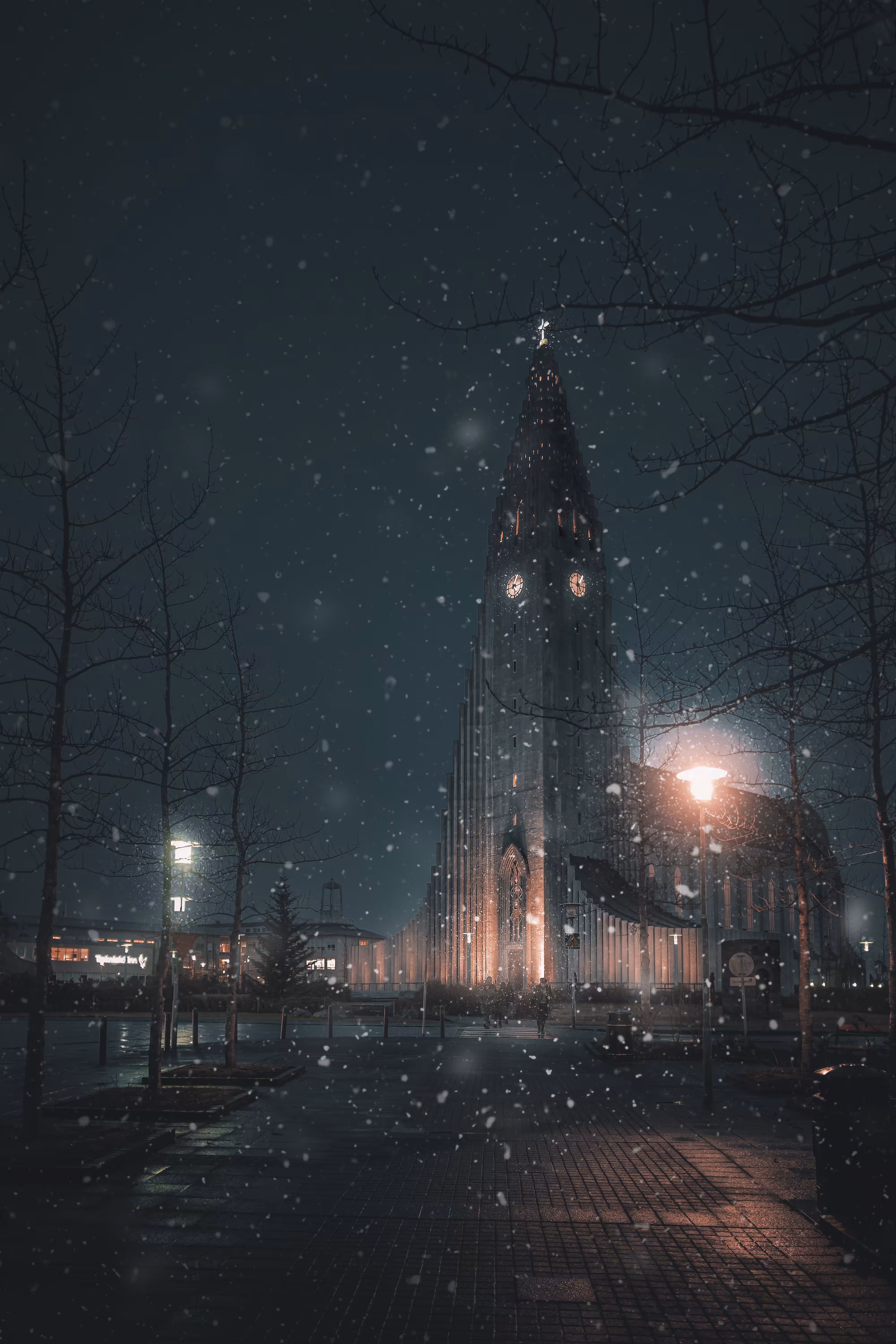 Hallgrímur's Winter Rain
