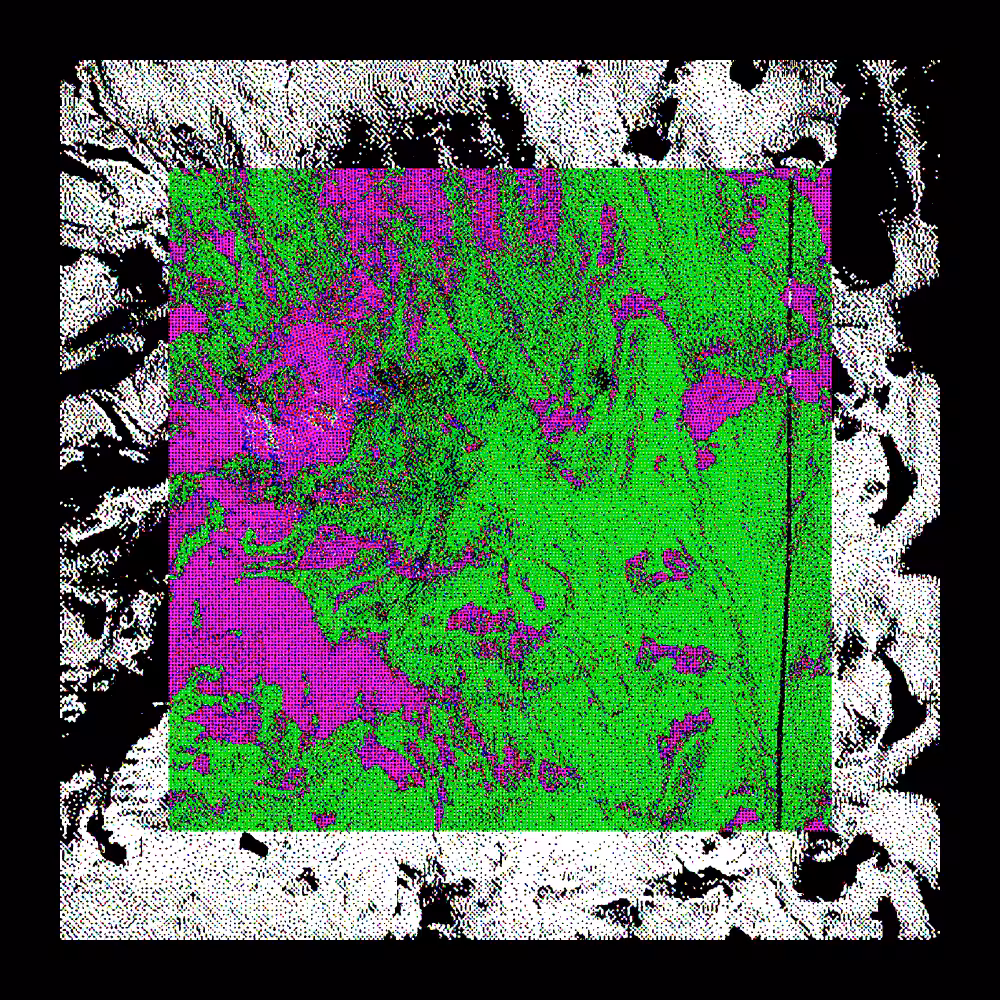 CHX-1 #7