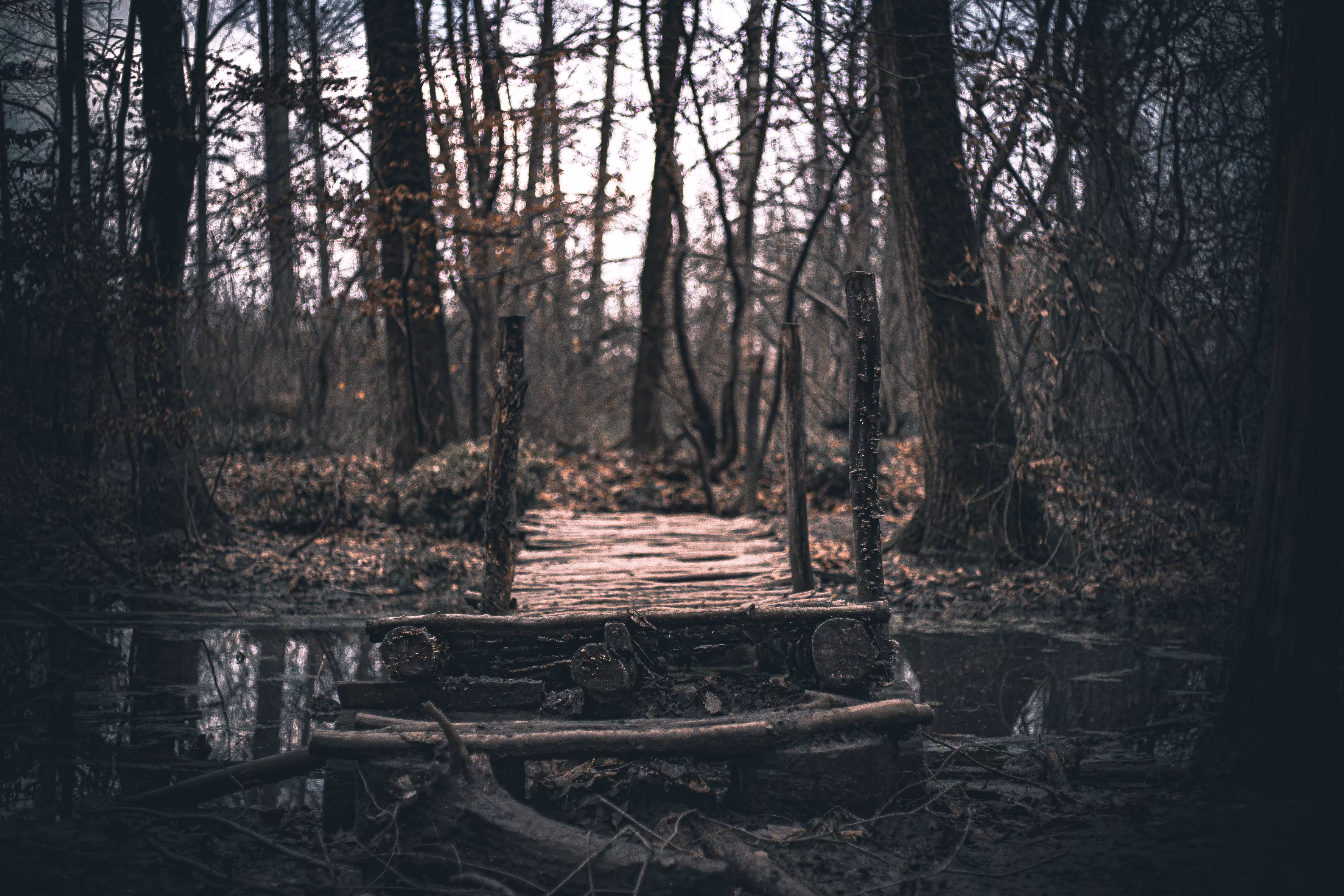 Lost