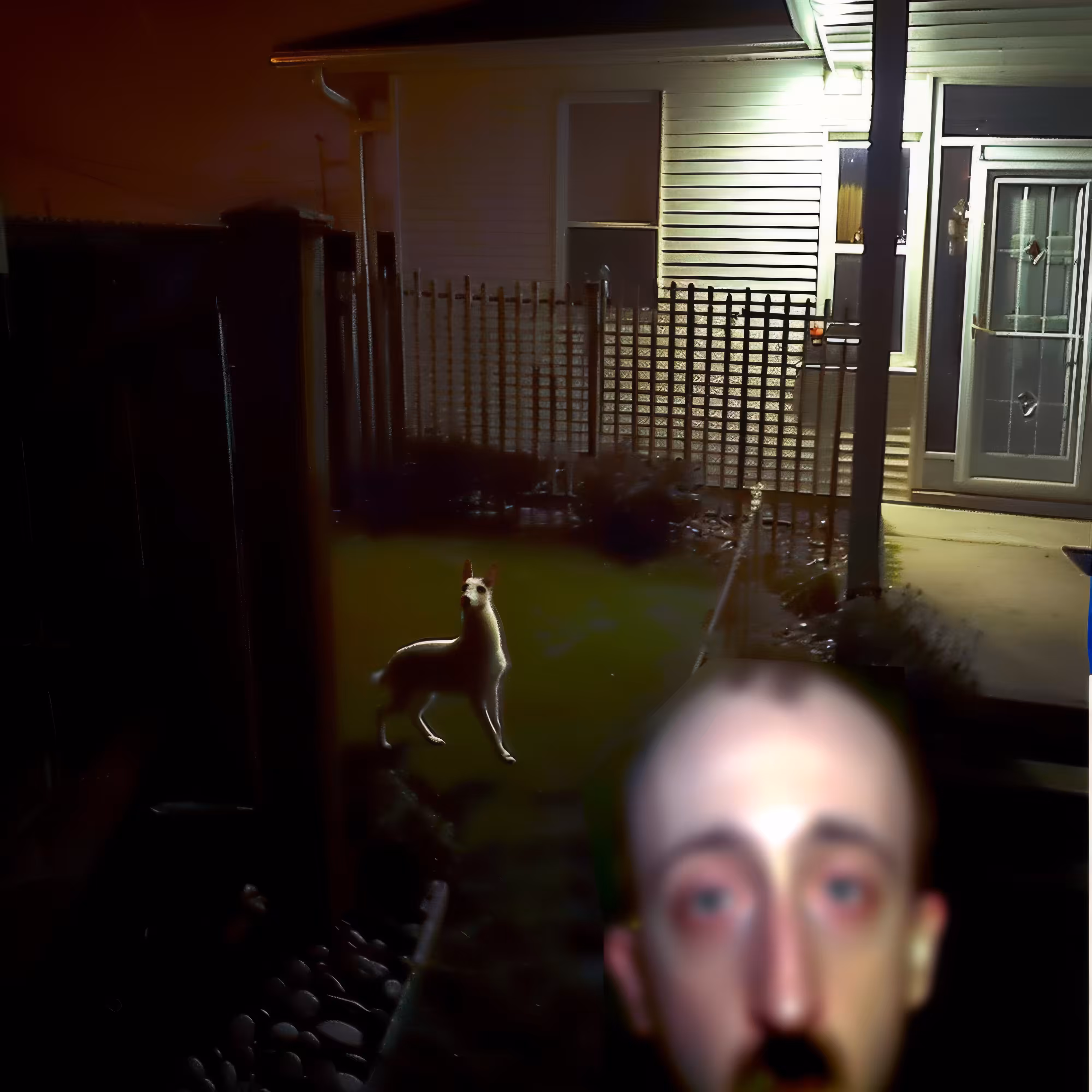BAD JPEGs: Suburban-Spotting