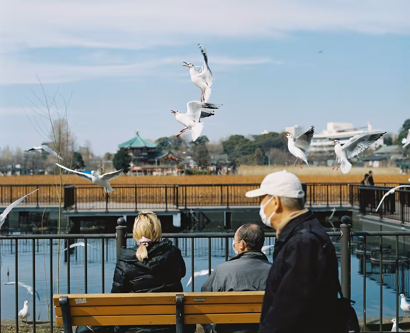 Scenes from Tokyo #18