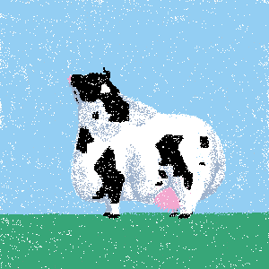 cow #164