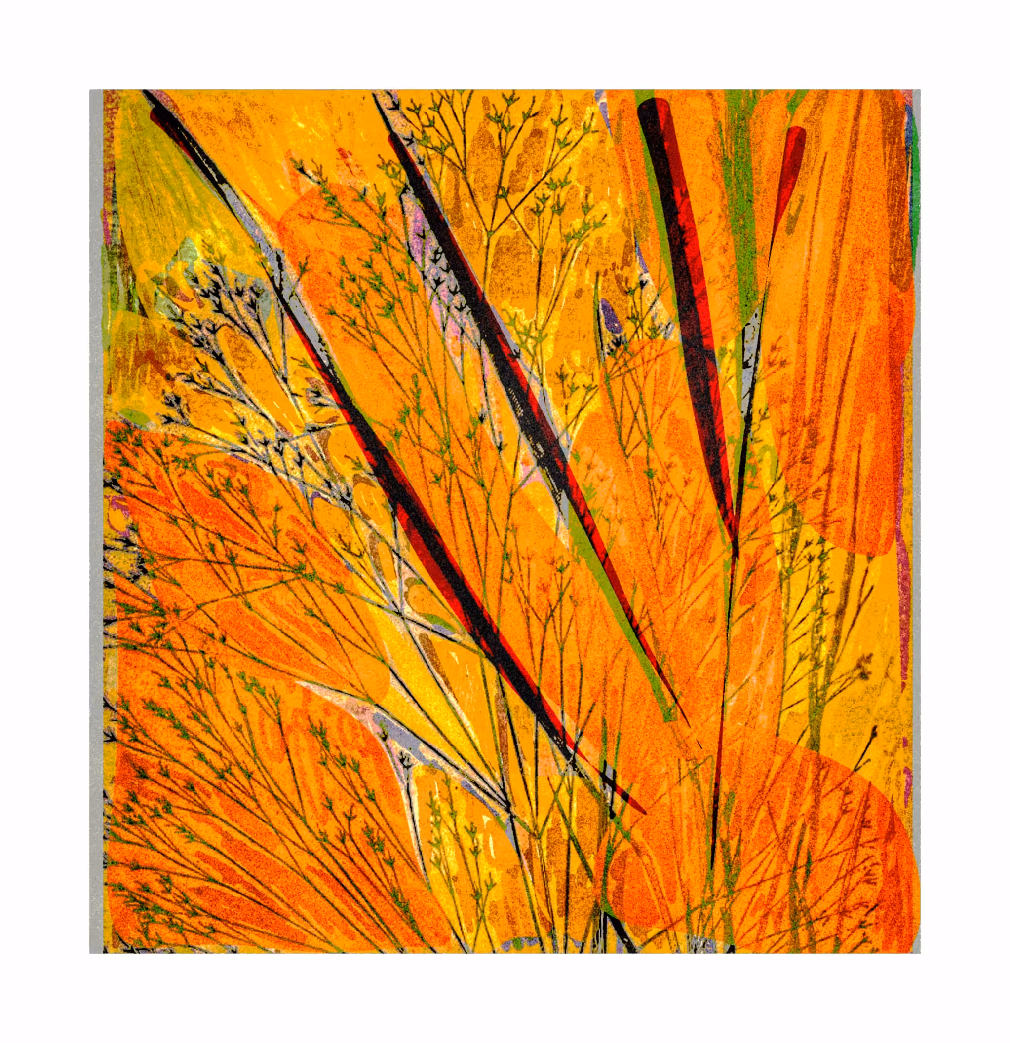 Grasslands 
