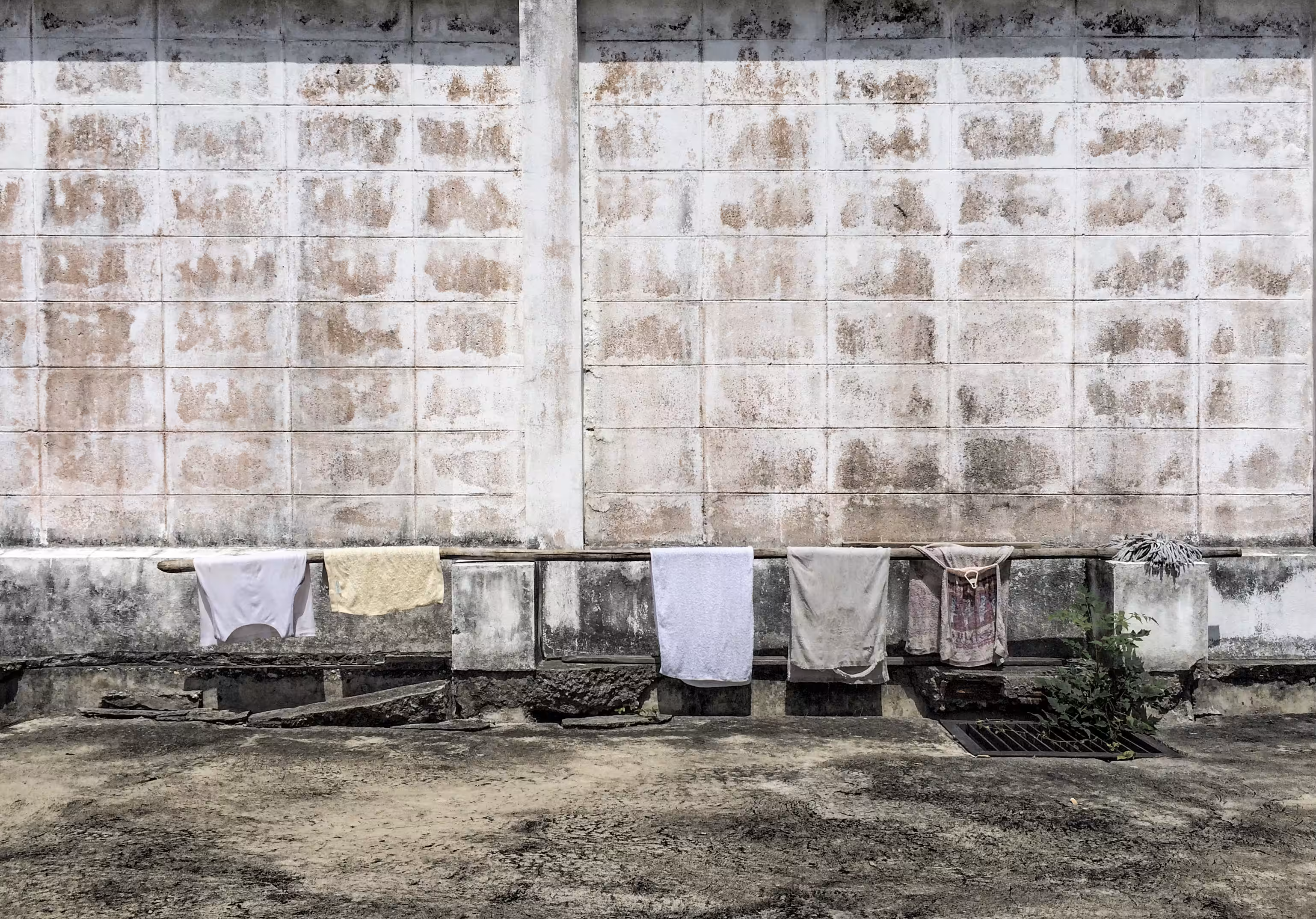 Banalism # 54