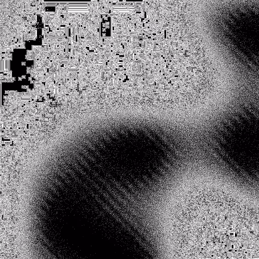 Noise #344 