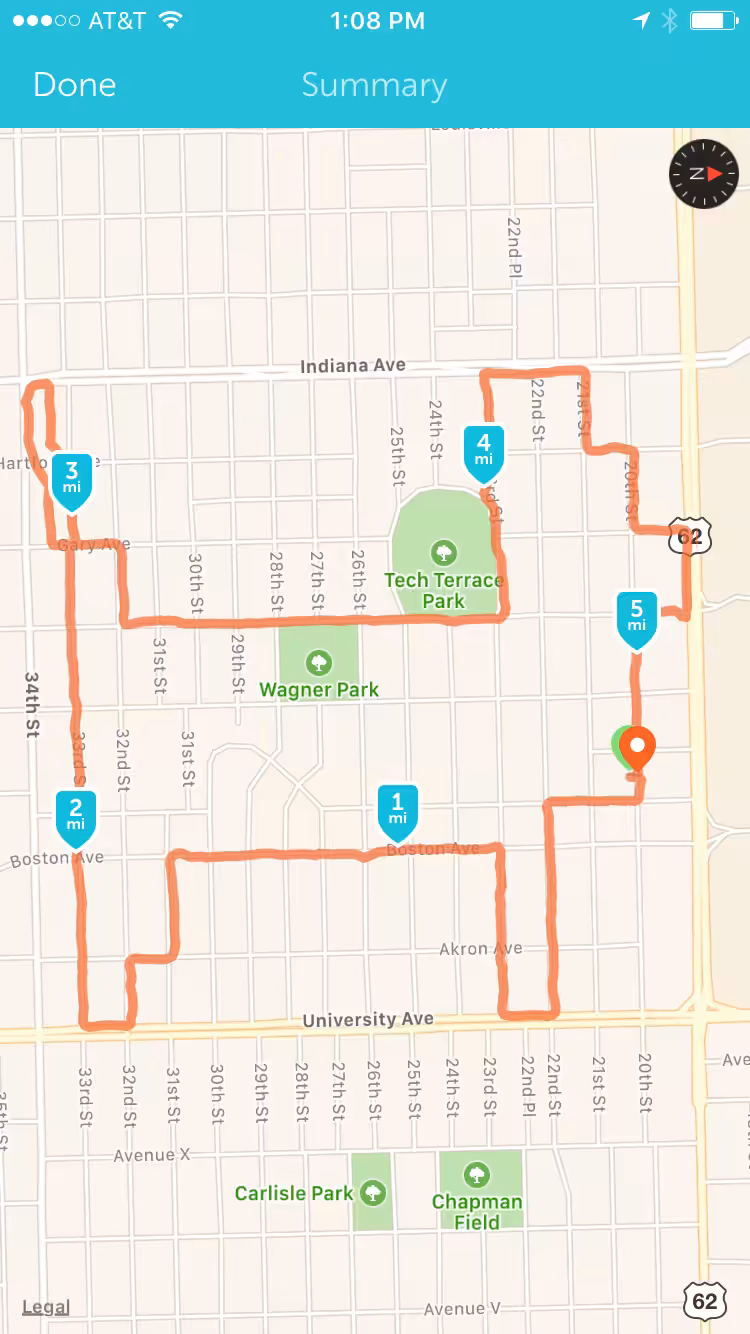 dog run #4