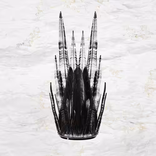 Black Crown #1