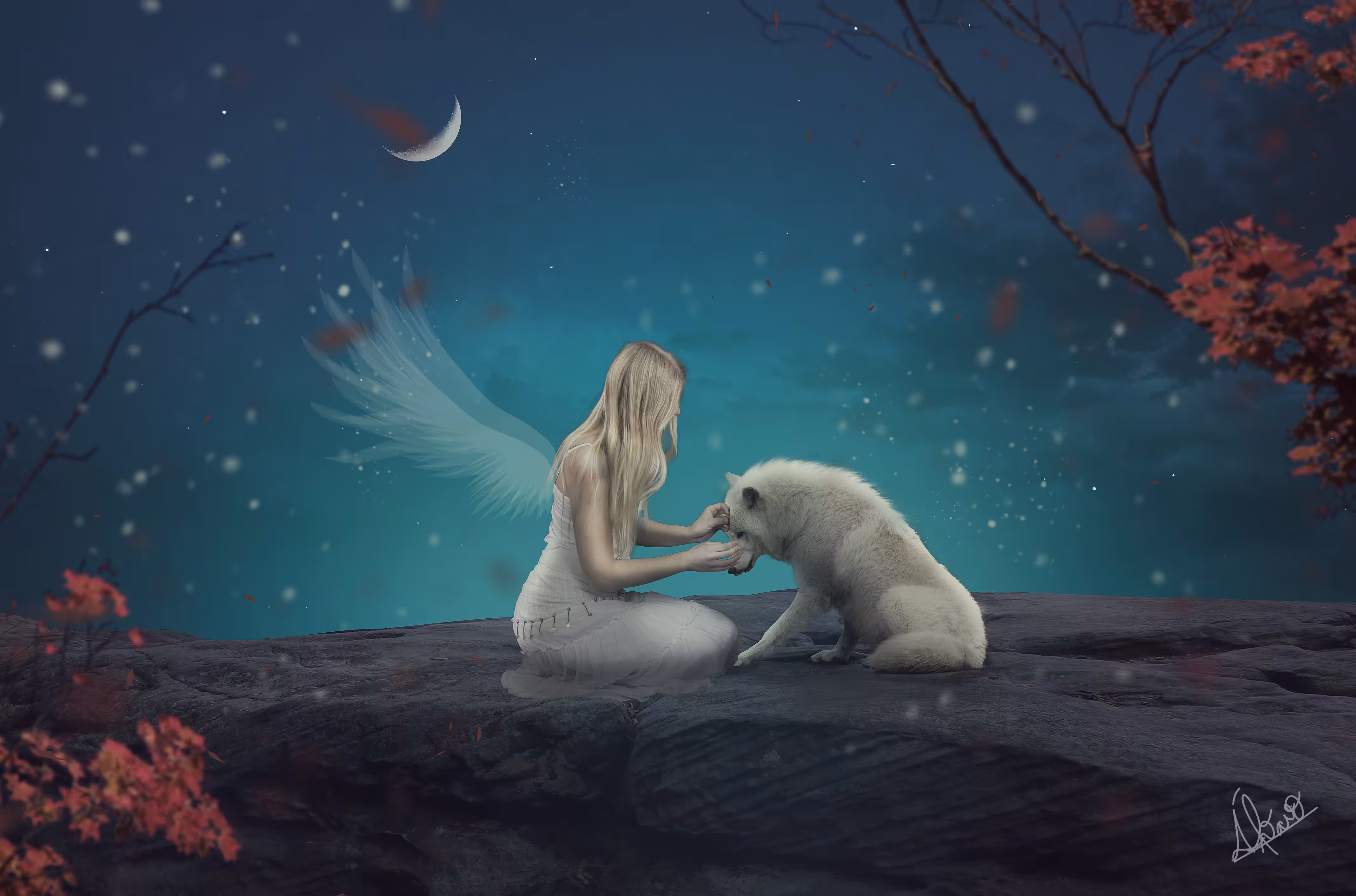 Night Angel 