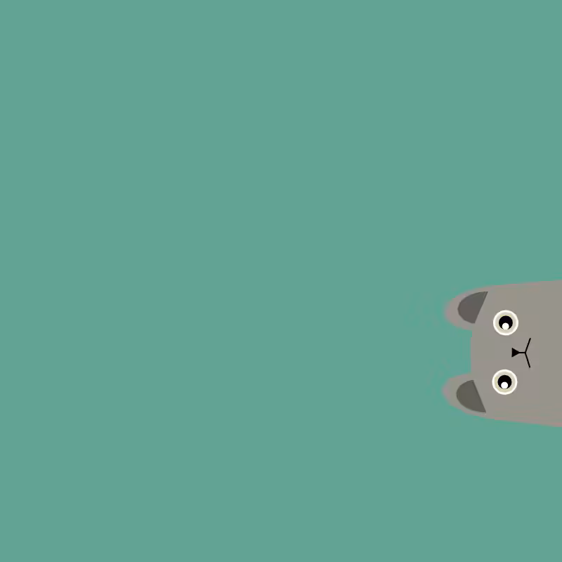 Where is the cat? #14