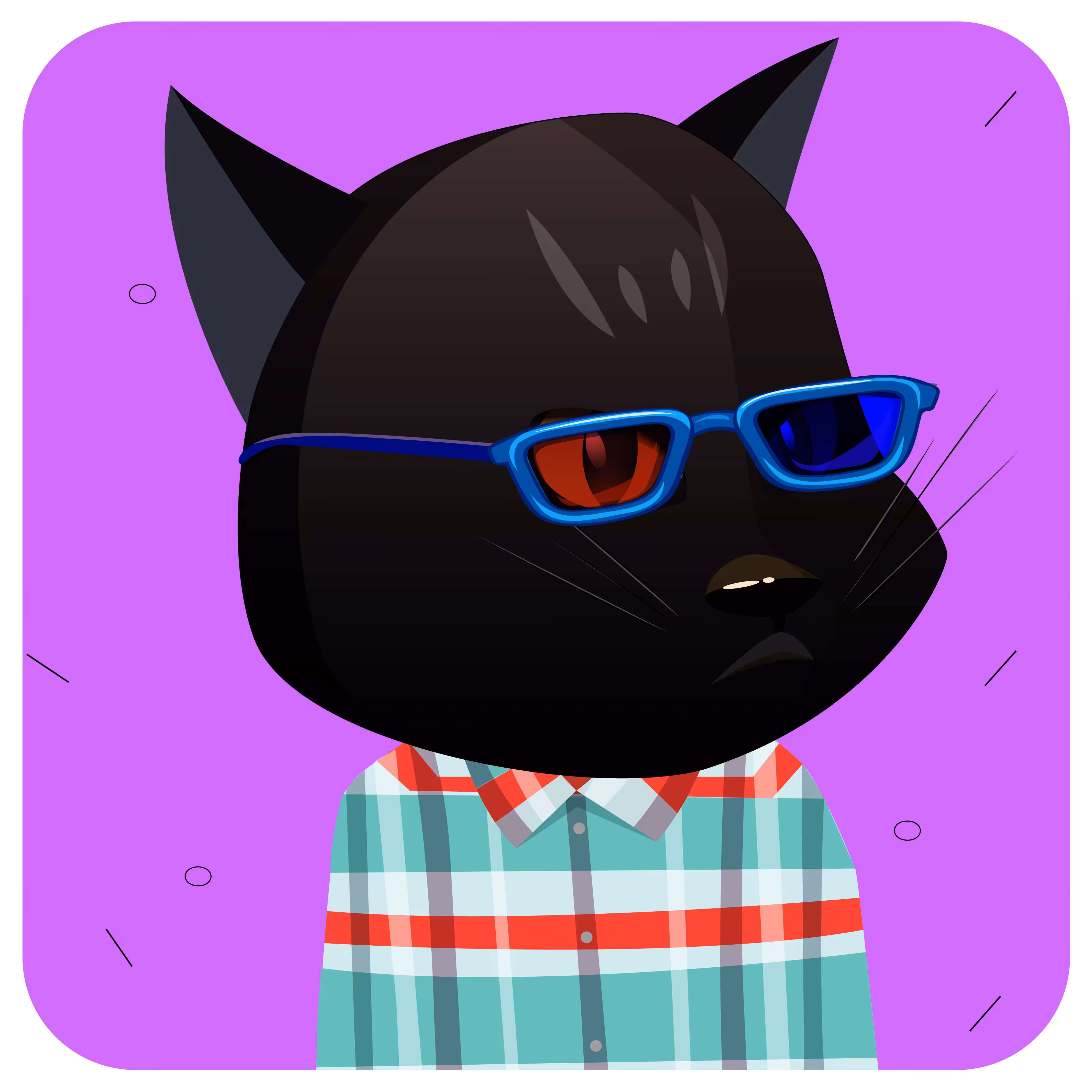 The Black Cats/66