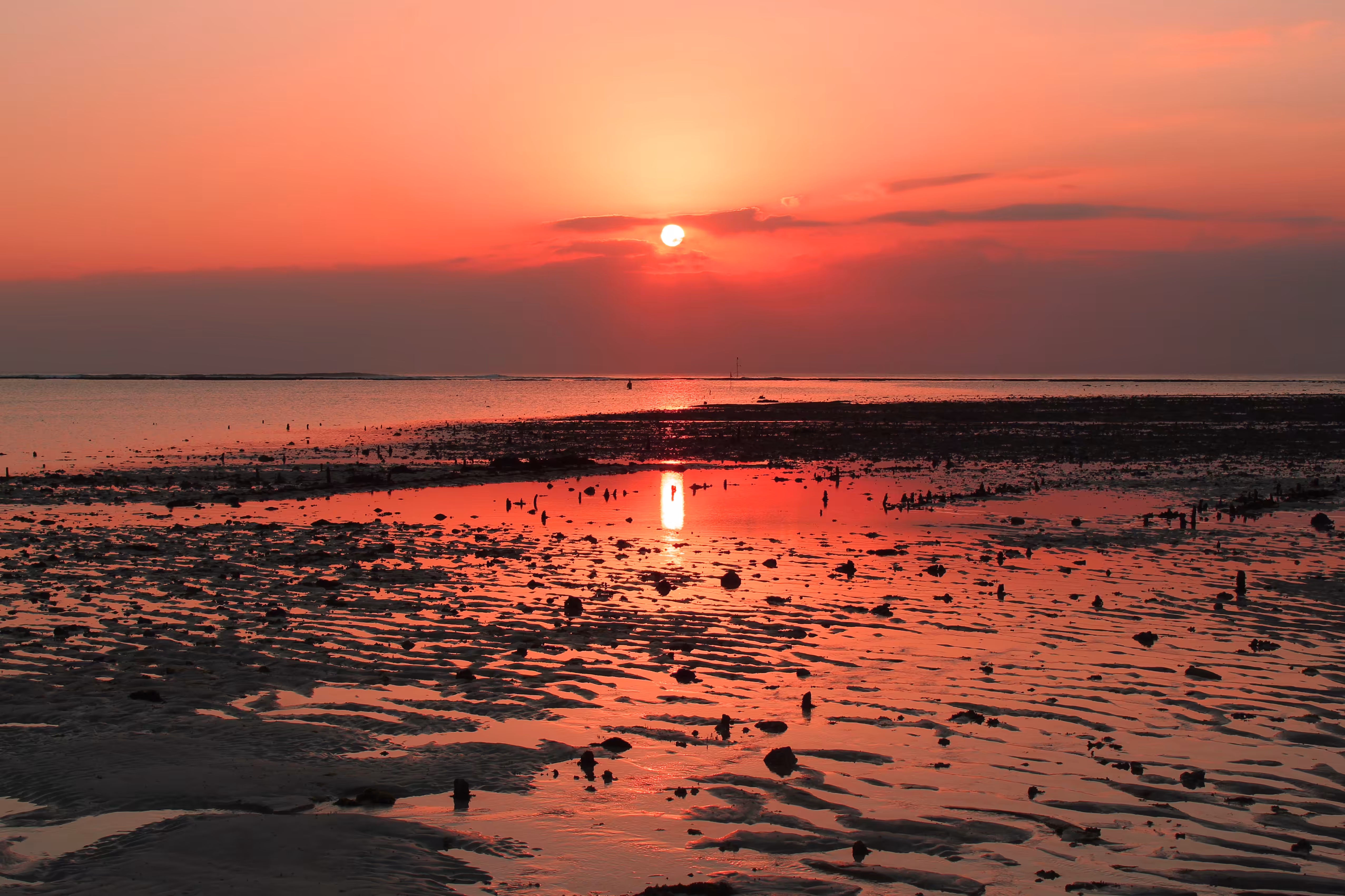 Low tide