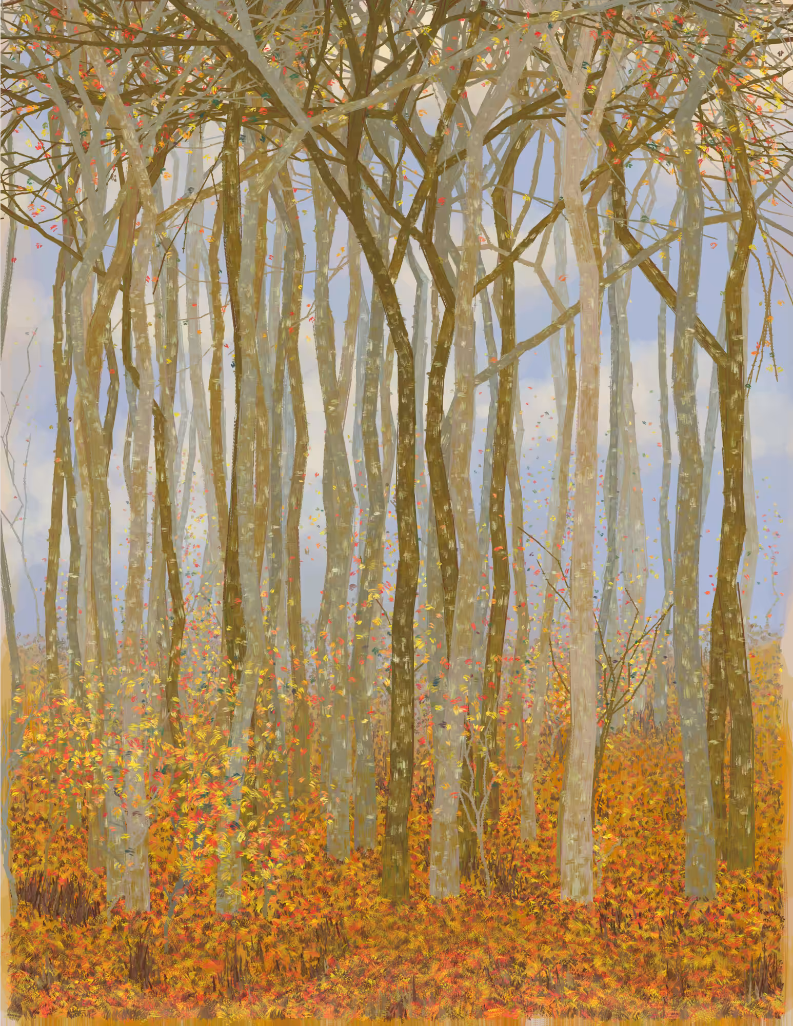 Deep Forest #343