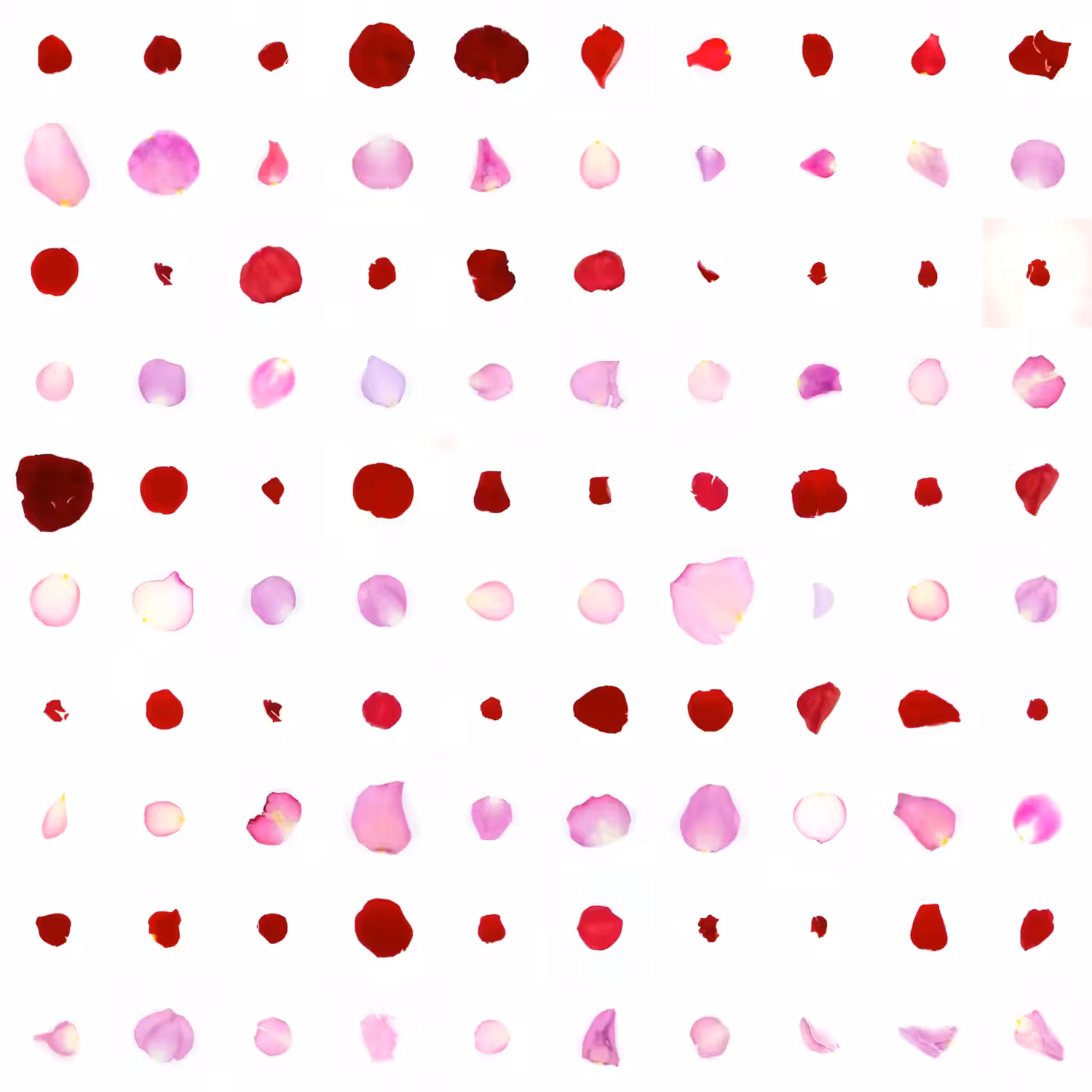 Infinite Petals 10x10#106