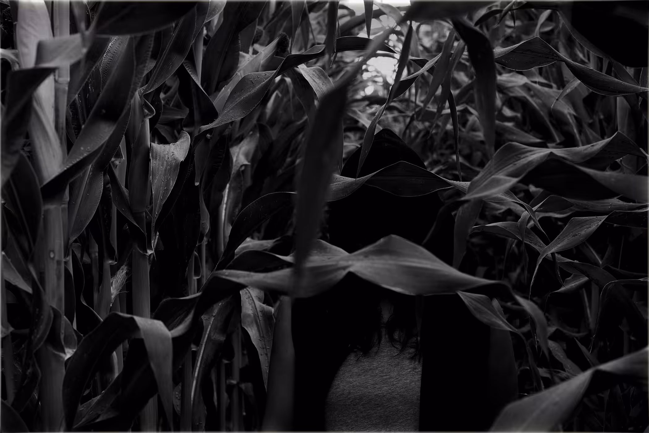 Summoning Corn Snakes