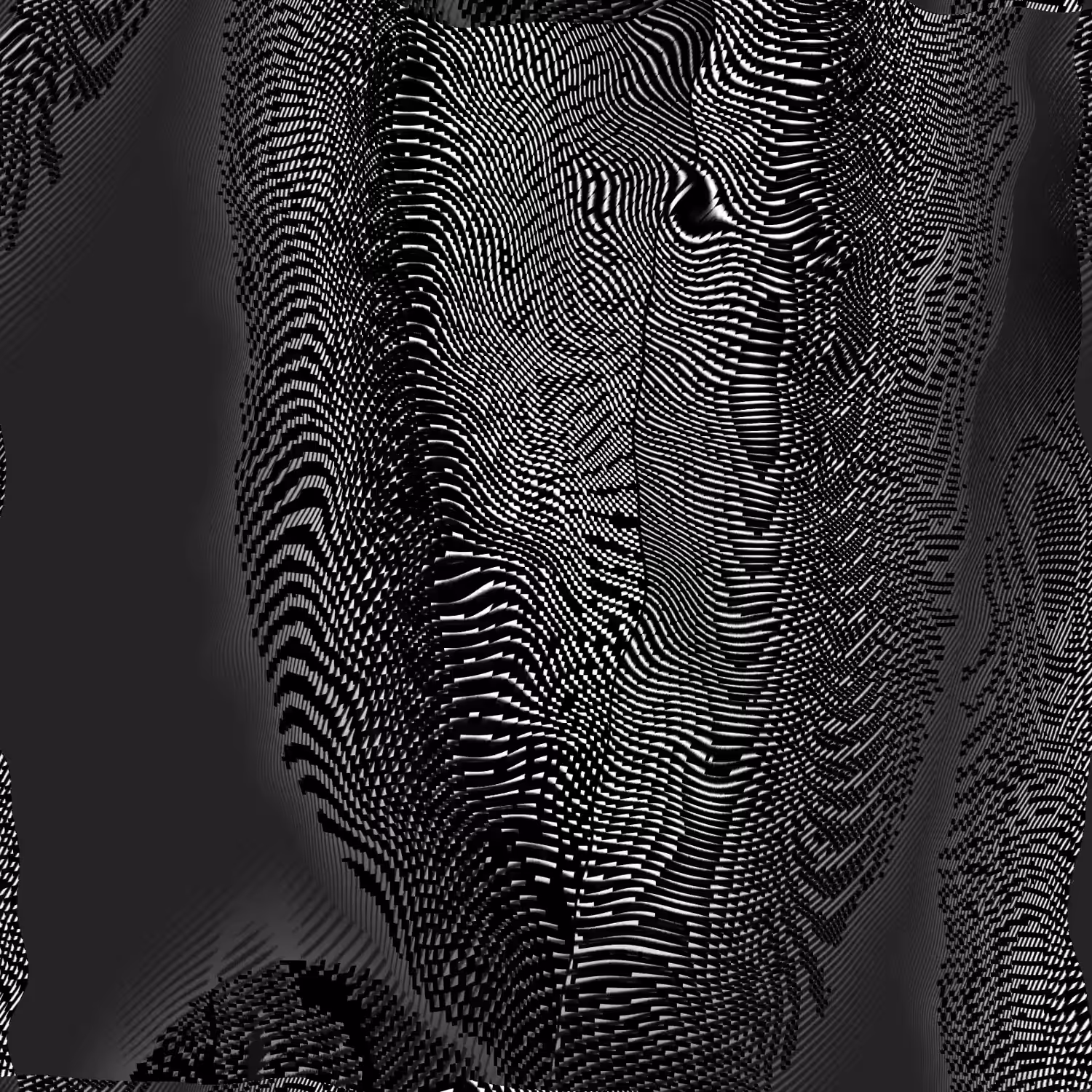 moire — n.003