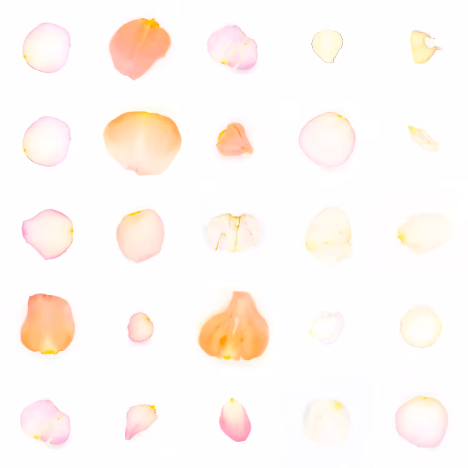Infinite Petals 5x5#20804