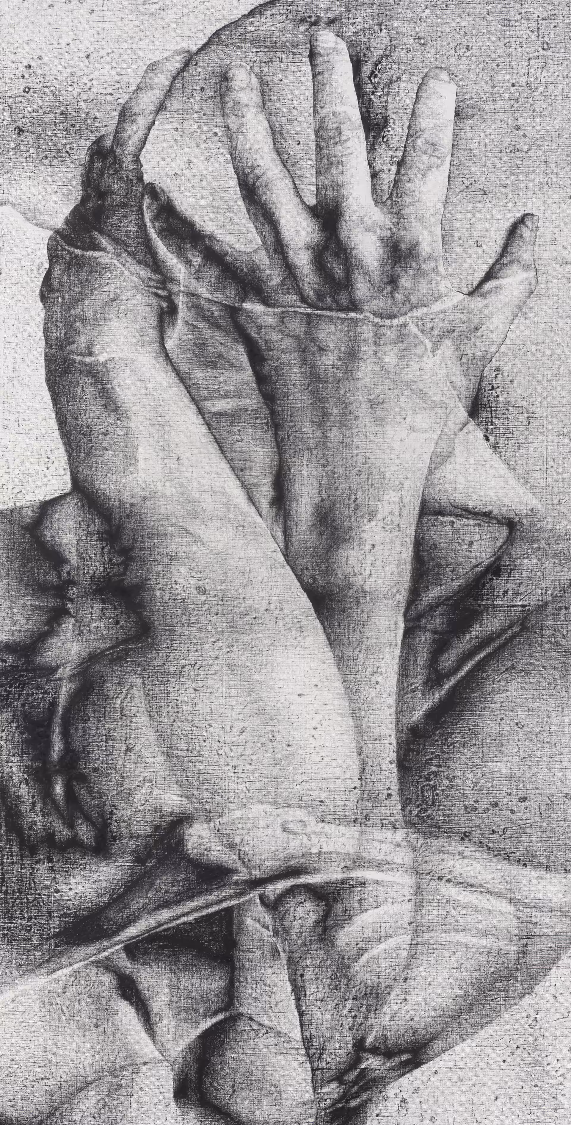 Untitled 6