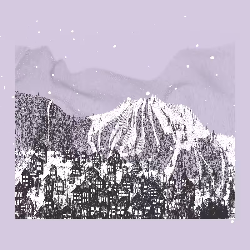 White Mountain Winter #118