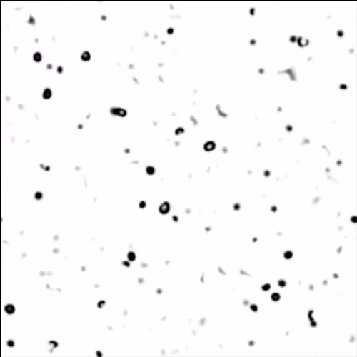 non-equilibrium bubbles: 10