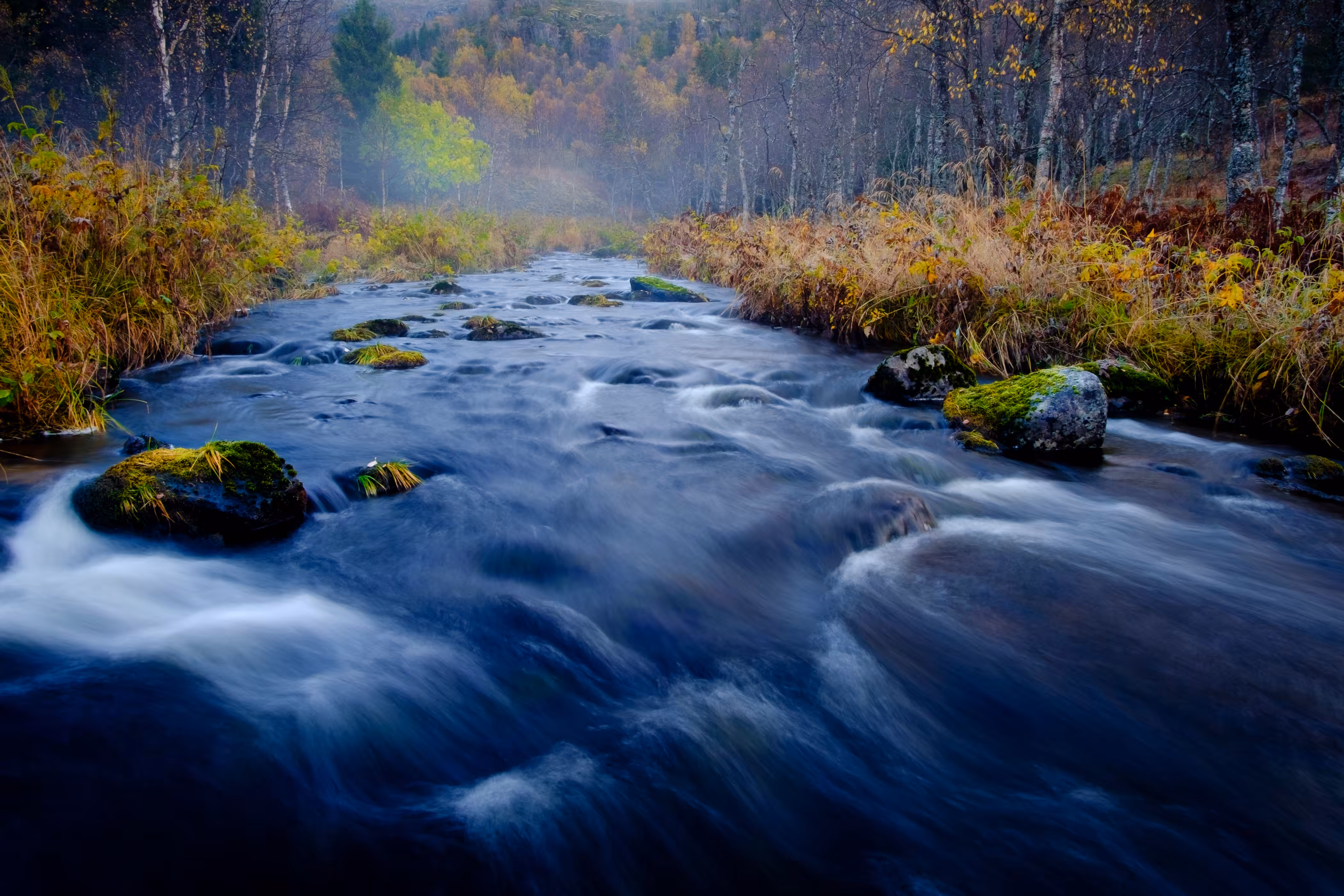 Cold River