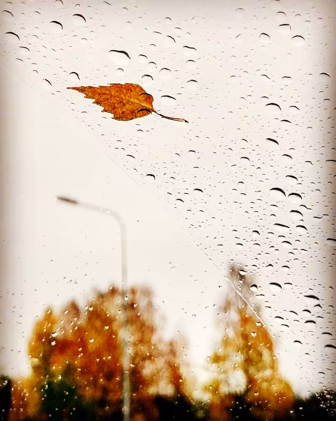 Rain painting : Rain Painting #0005