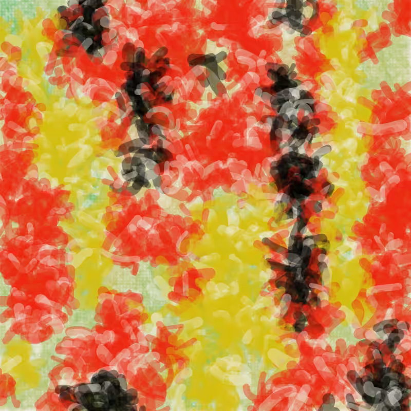 Petri 1500 v2 QHD  #517