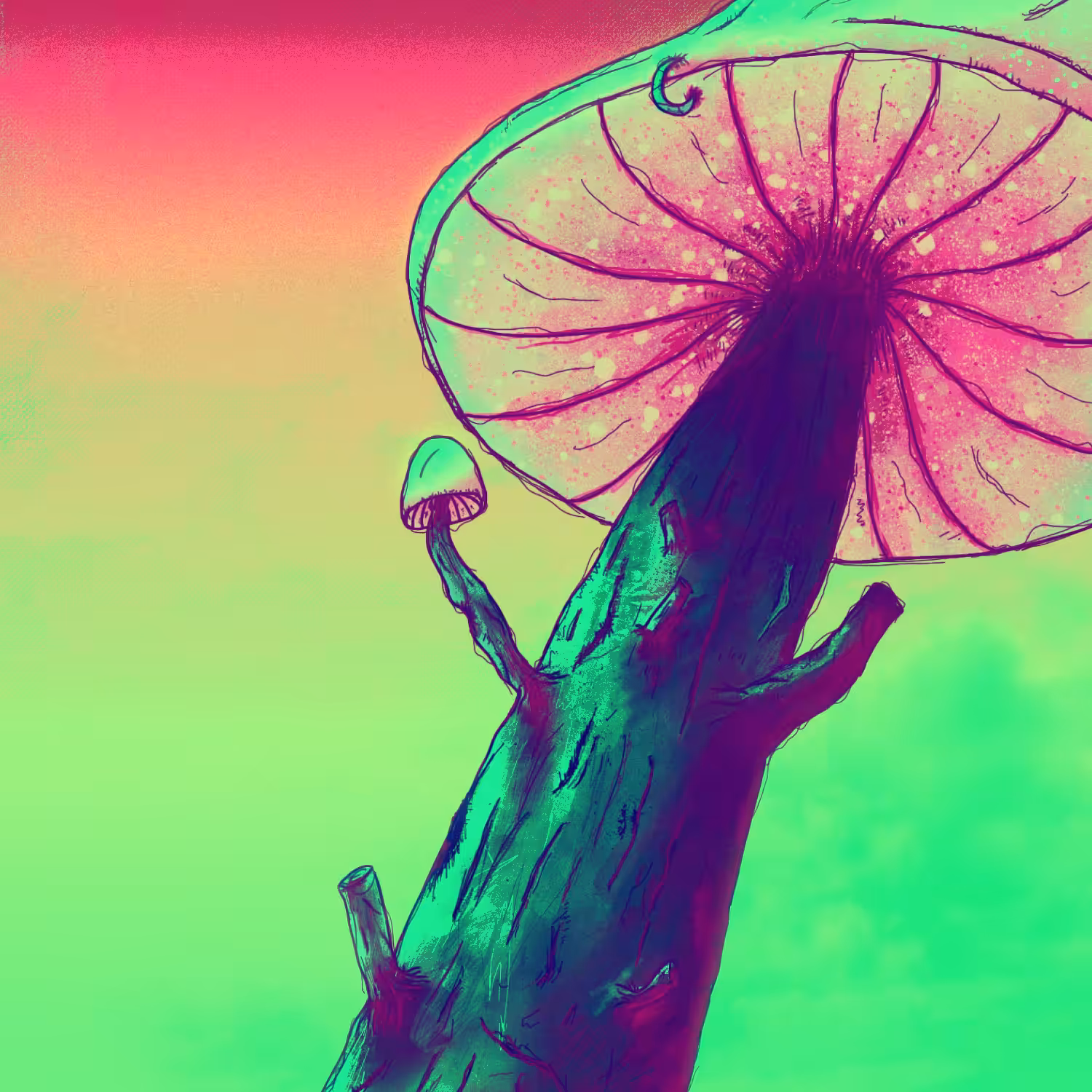 COLORFUL MUSHROOMS (EPILEPSY VIDEO)