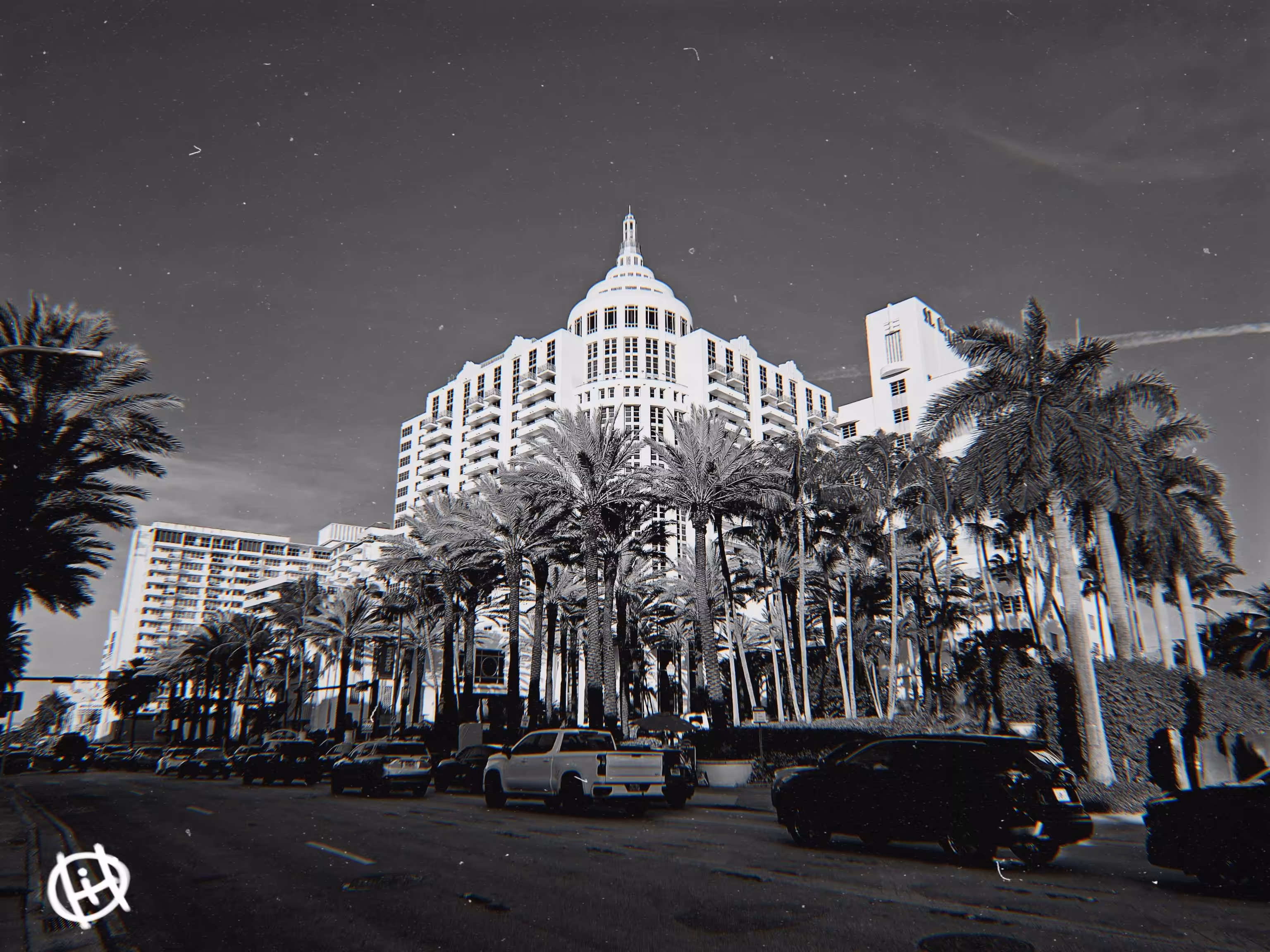 Palm-Crowned Grandeur