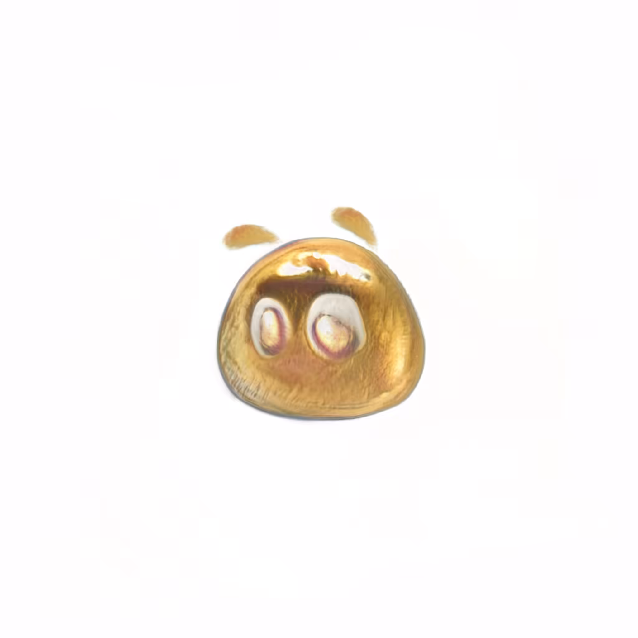 Padgoon