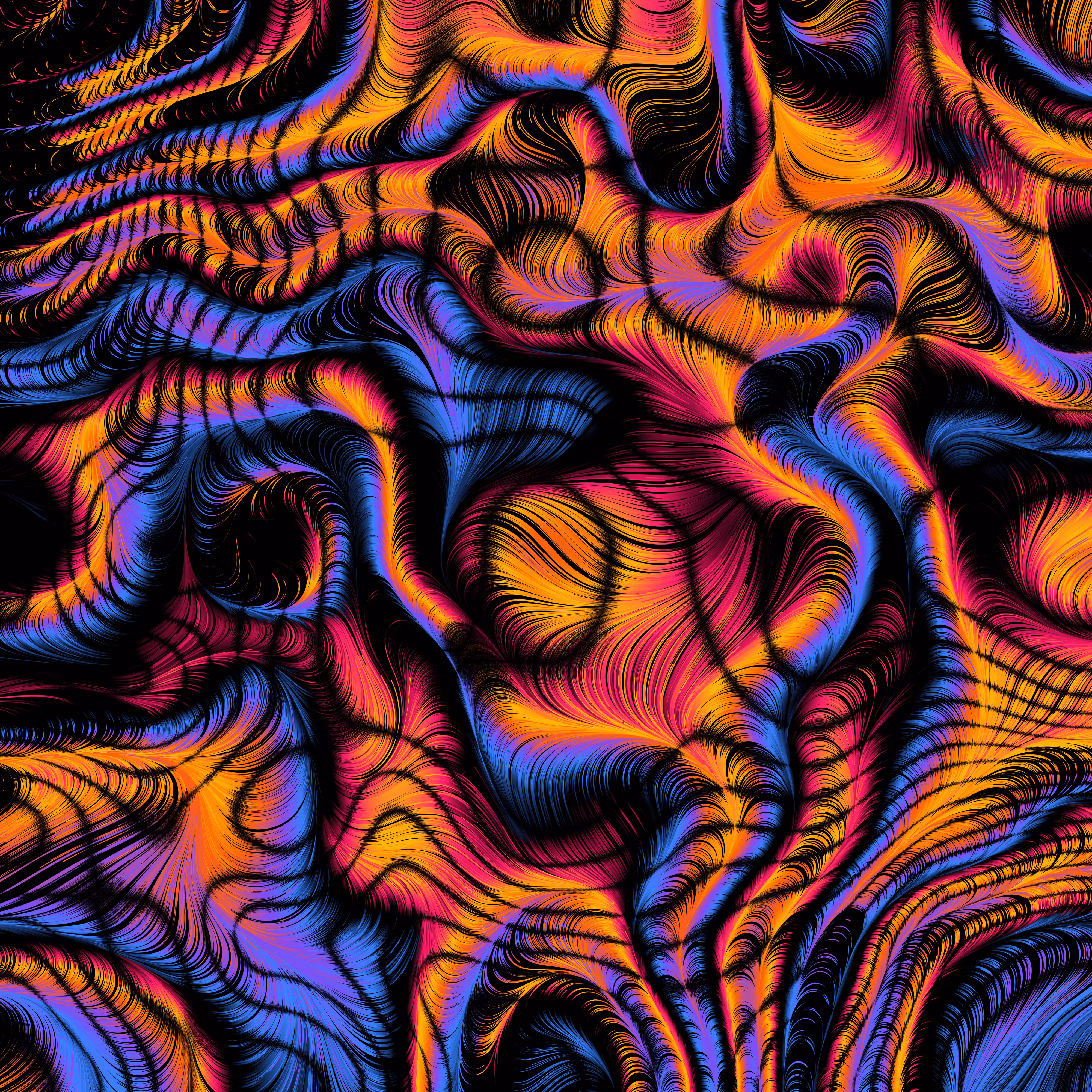 Veritable #1