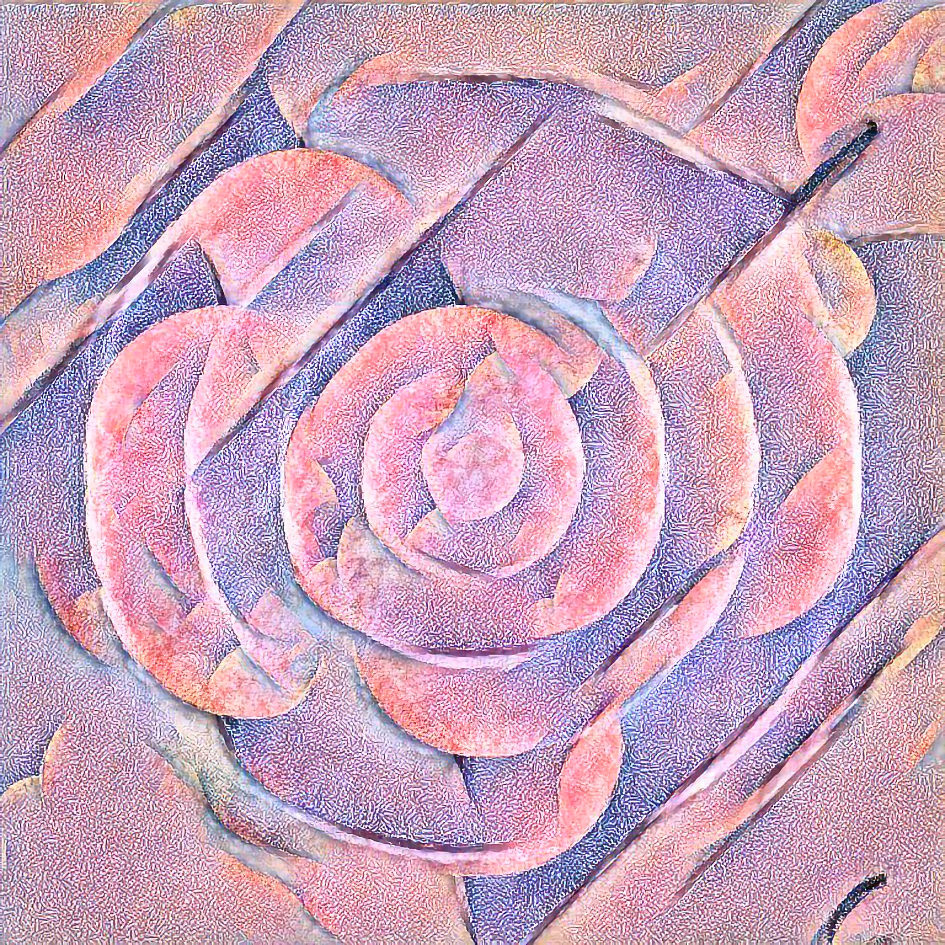 Bloom