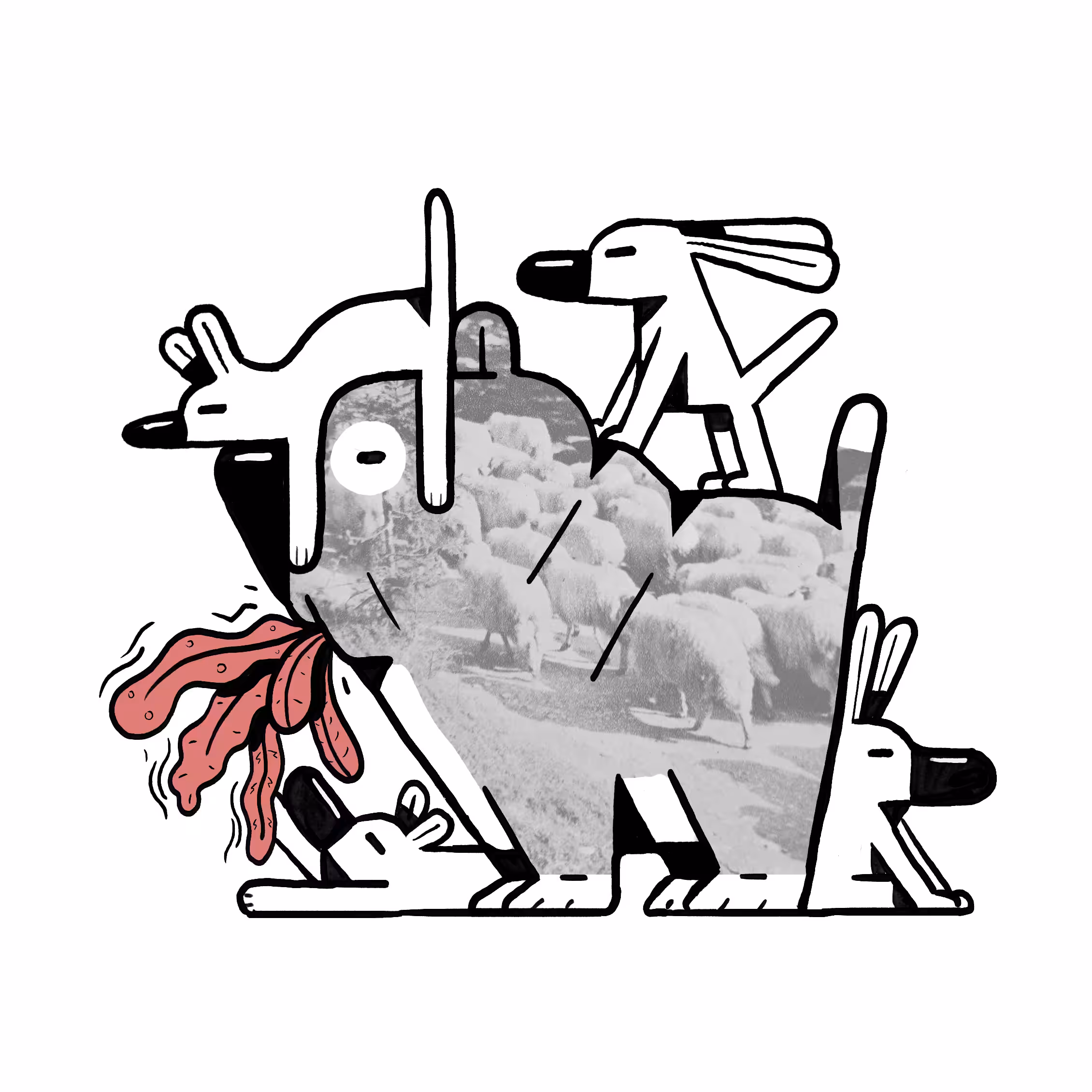 Dogu Shepherd