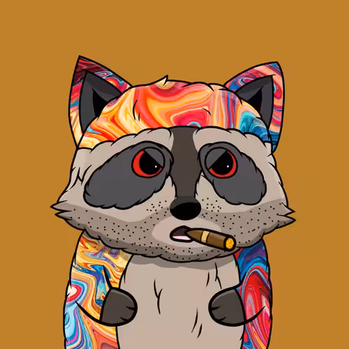 Raccoon #629