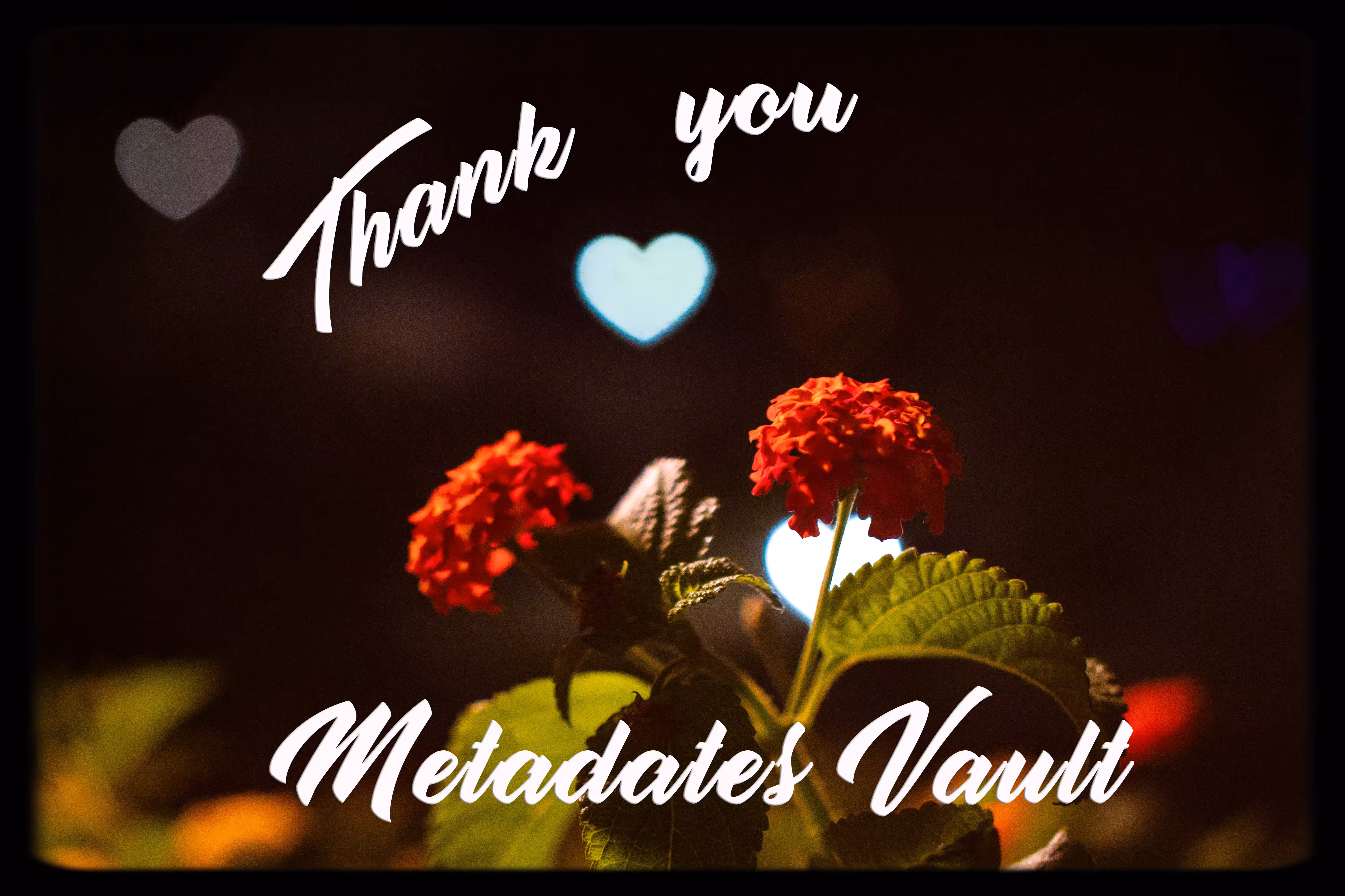 Thank You Metadates Vault