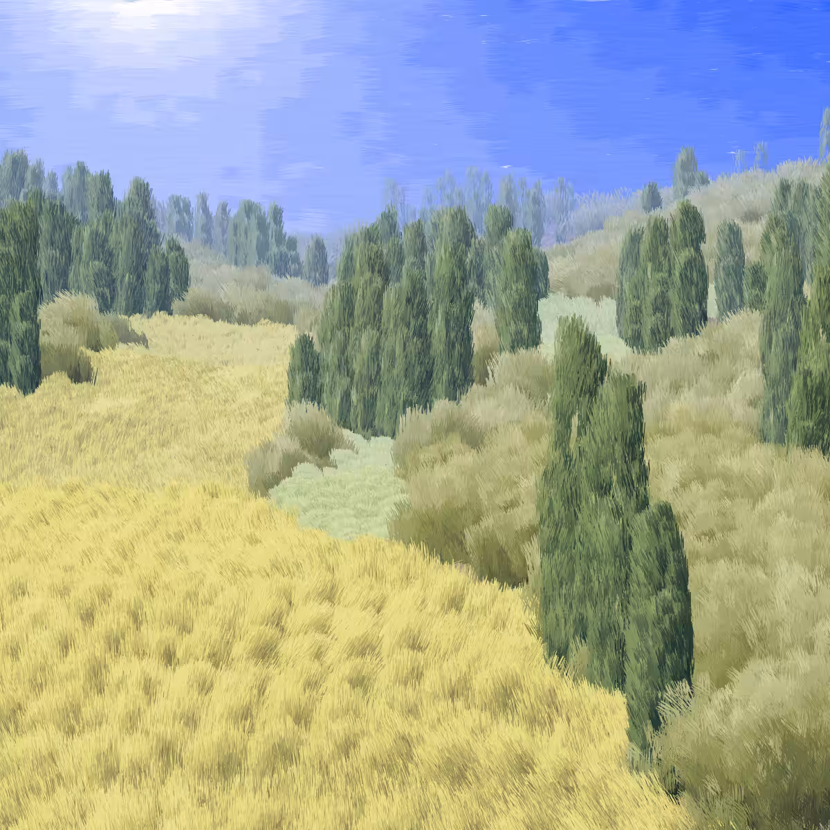Provence #380