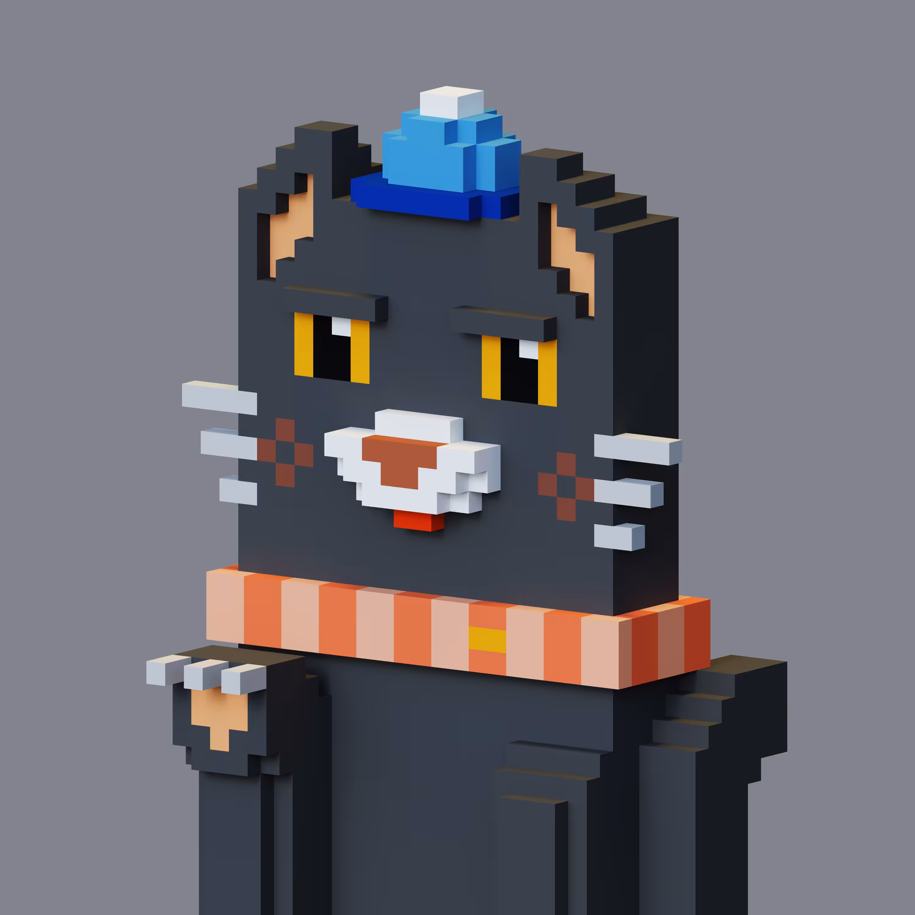 Pet Voxel 29