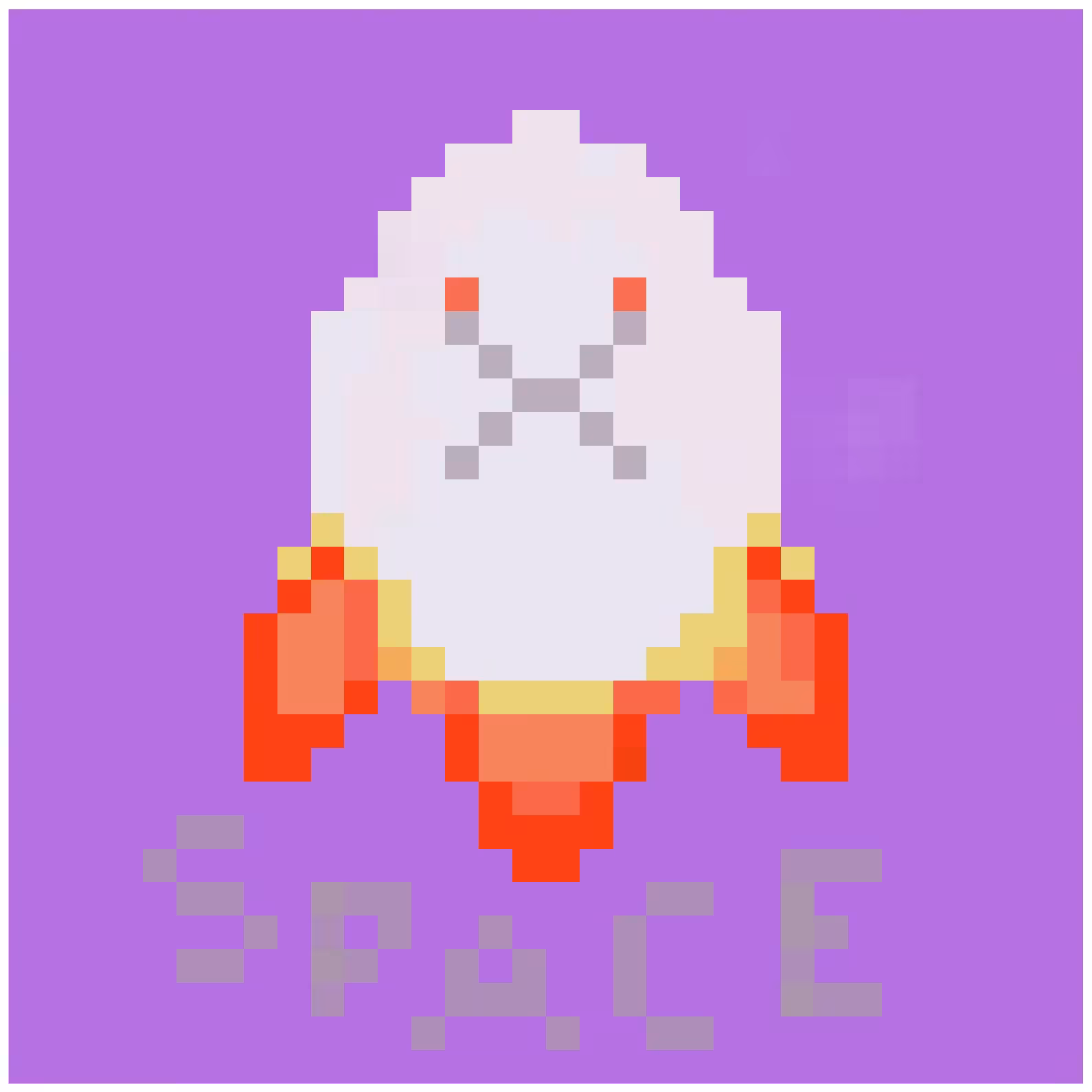 SPACE X