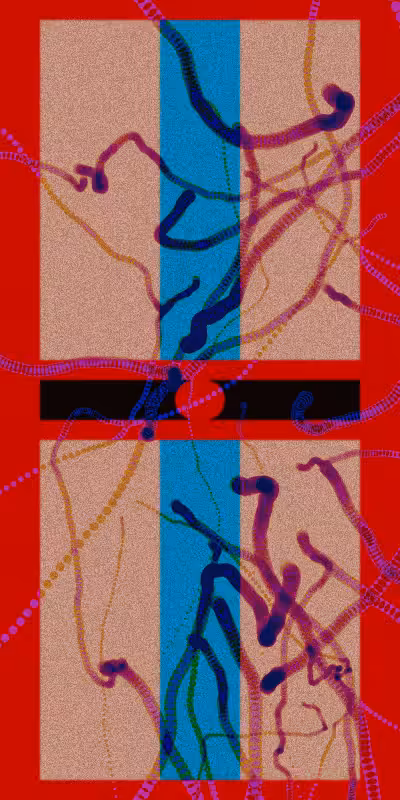 Windows Of Opportunity #260